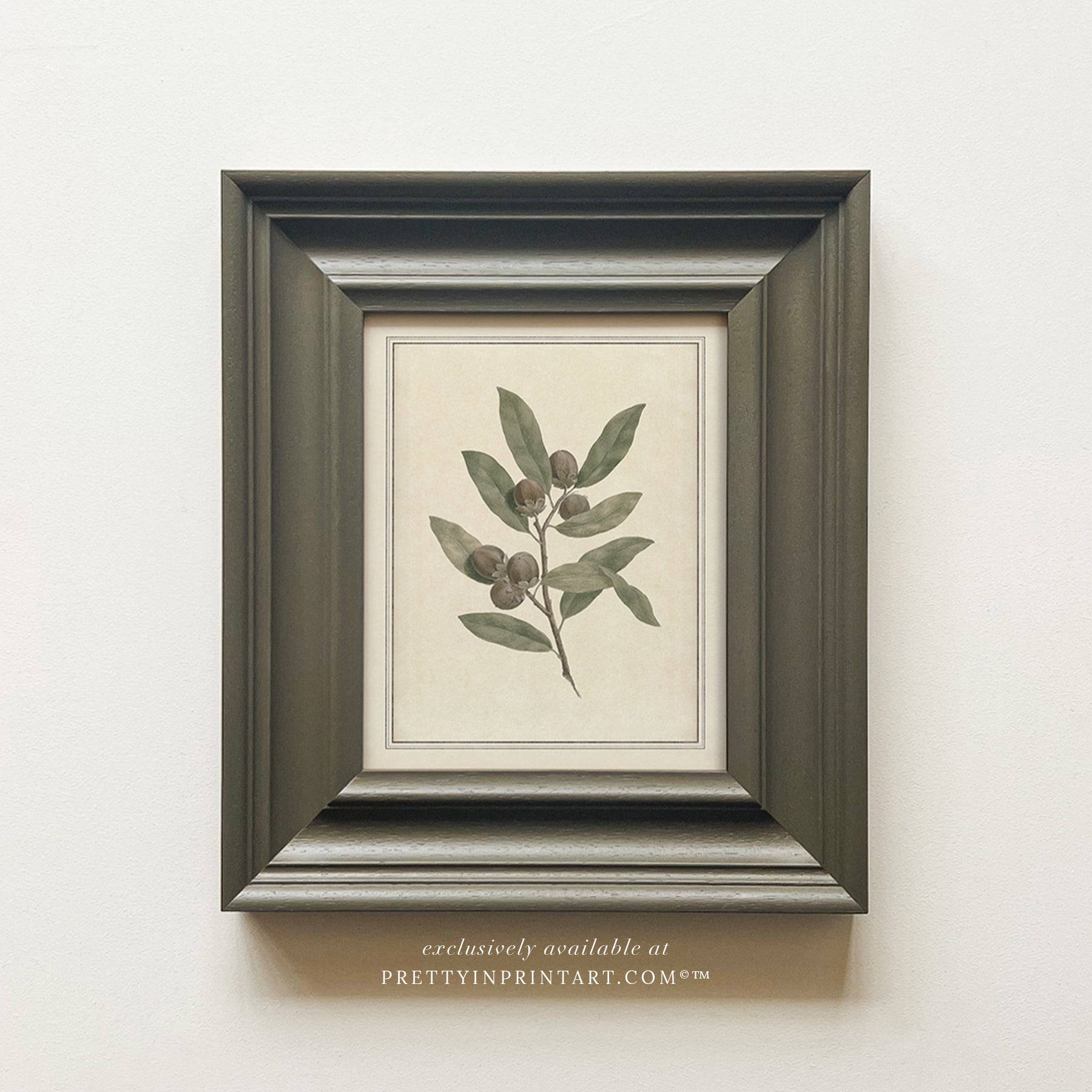Framed vintage botanical art prints for home decor, Vintage plant wall art with traditional picture frame, Ready-to-hang vintage botanical artwork, Framed floral prints for cottagecore interiors