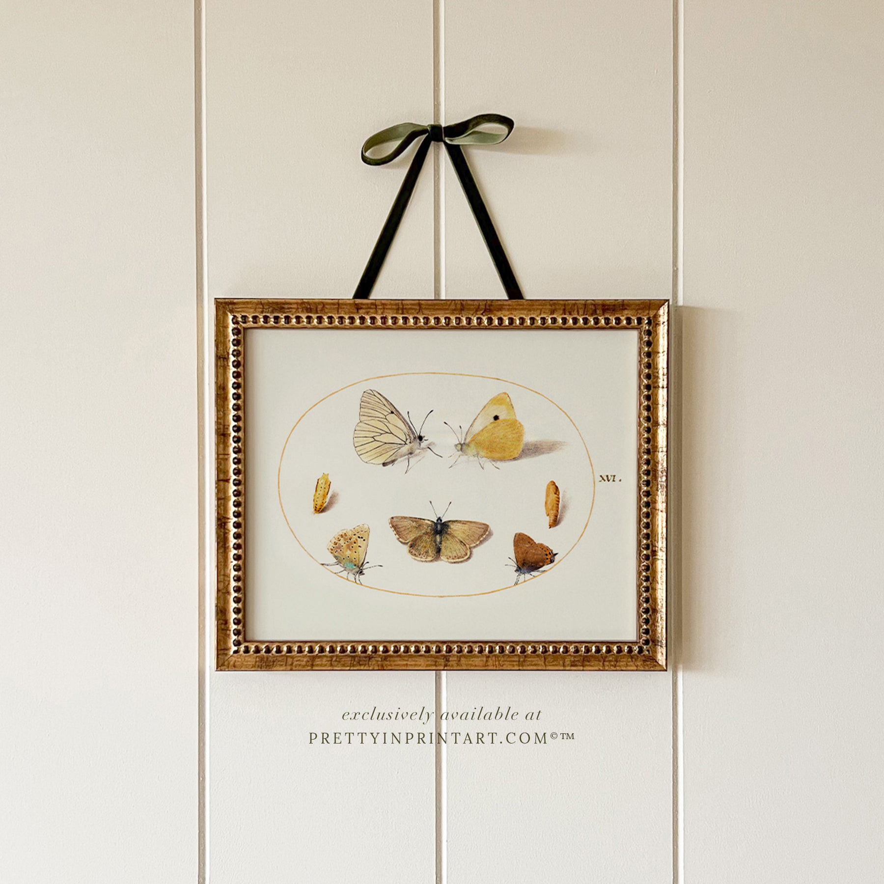 vintage-style nursery art prints featuring bugs, butterflies, beetles, and mini beasts in classic gold and wood frames for children's room decor.