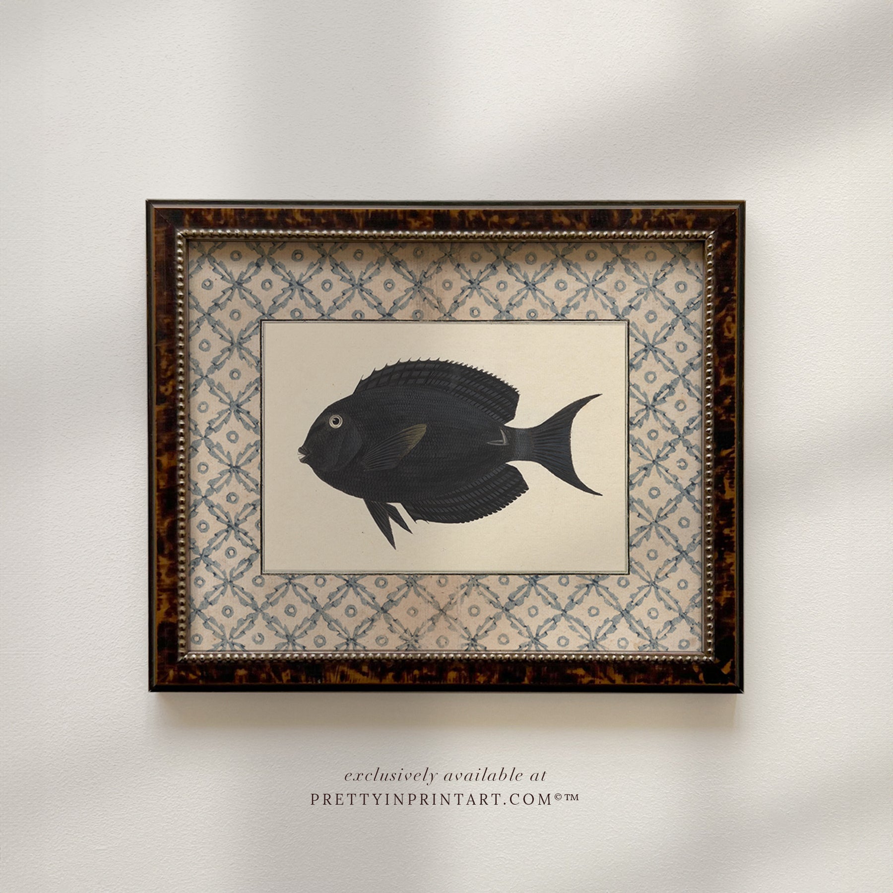 Vintage fish art, Antique fish prints, Vintage fish wall art, Fish illustration print, Vintage fish wall art prints for home decor, Antique fish illustrations for coastal decor, Rustic vintage fish prints for lake house, Framed fish art for nautical theme
