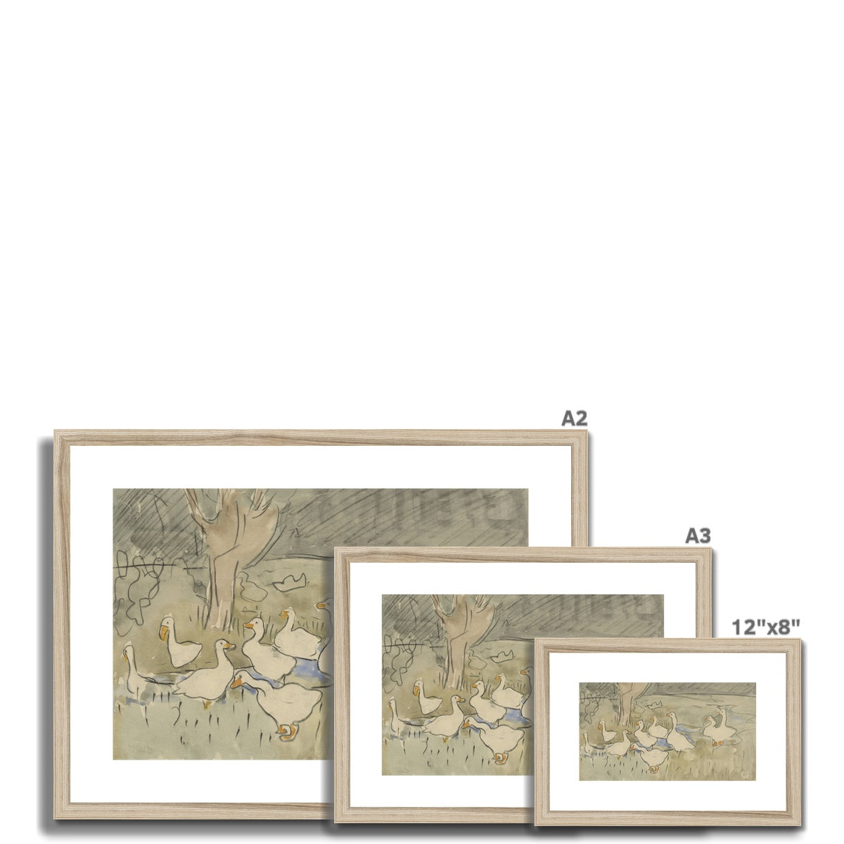 Vintage Duck Sketch Art 00549 | Framed & Mounted Print