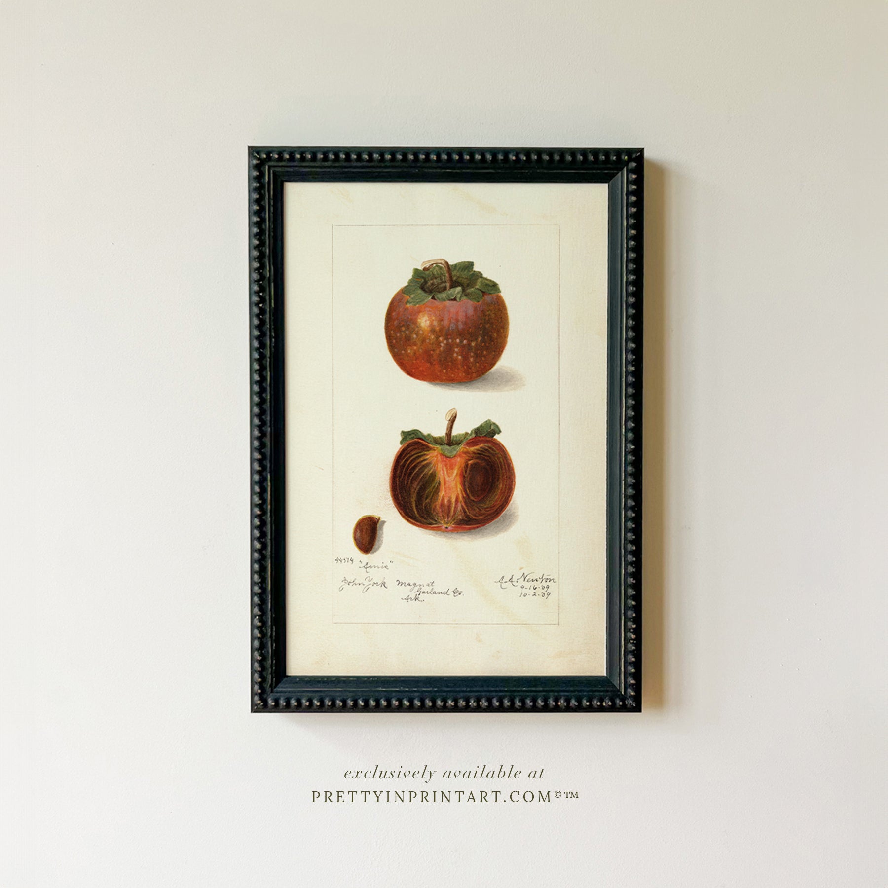 Black bobbin frame with vintage fruit botanical still life art for cottagecore, farmhouse, and traditional interiors