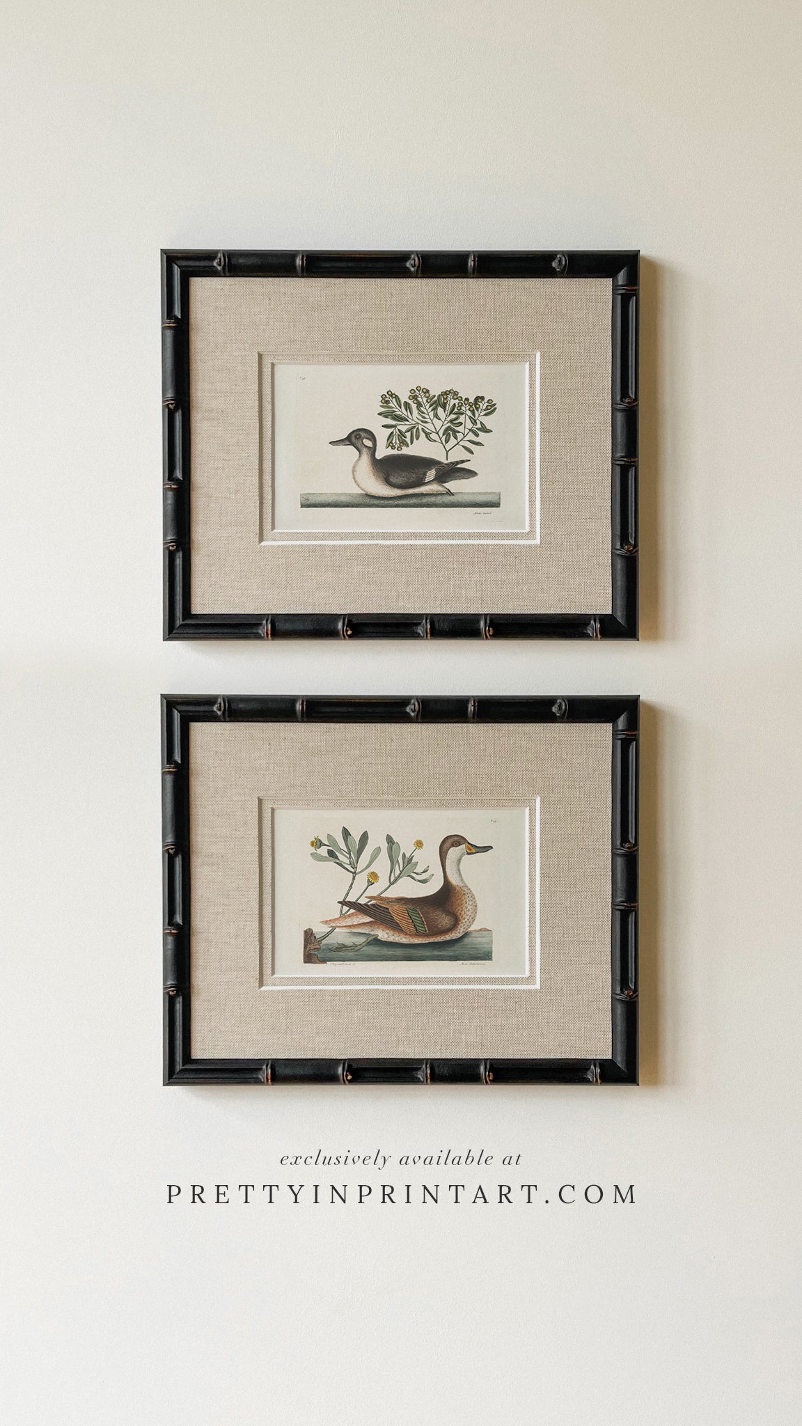 Framed & Mounted Vintage Duck Art 003481/2 | 269