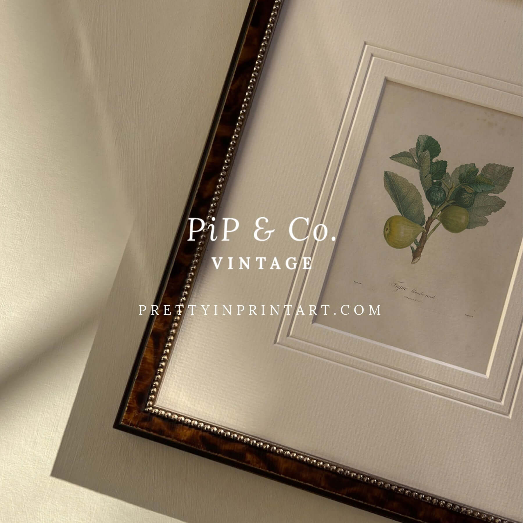Framed botanical art print featuring lemon branches in a vintage tortoise frame with elegant details.