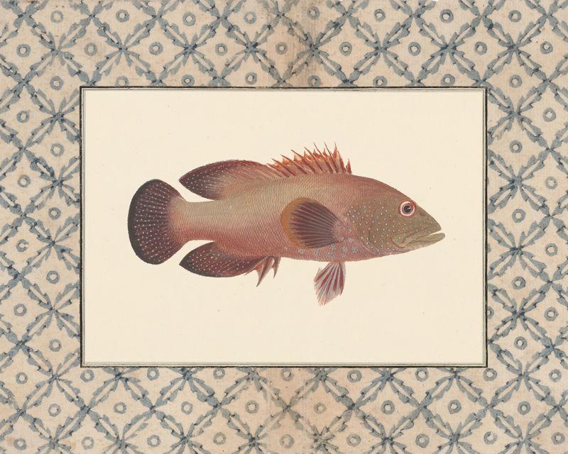 Vintage plum and rust fish art print with a blue lattice border, flat artwork image