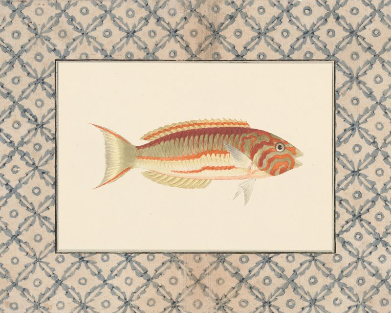 Vintage orange-striped fish art print with a blue lattice border, flat artwork image