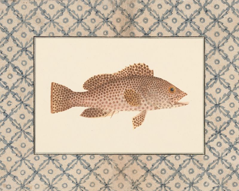 Vintage speckled brown fish art print with a blue lattice border, flat artwork image