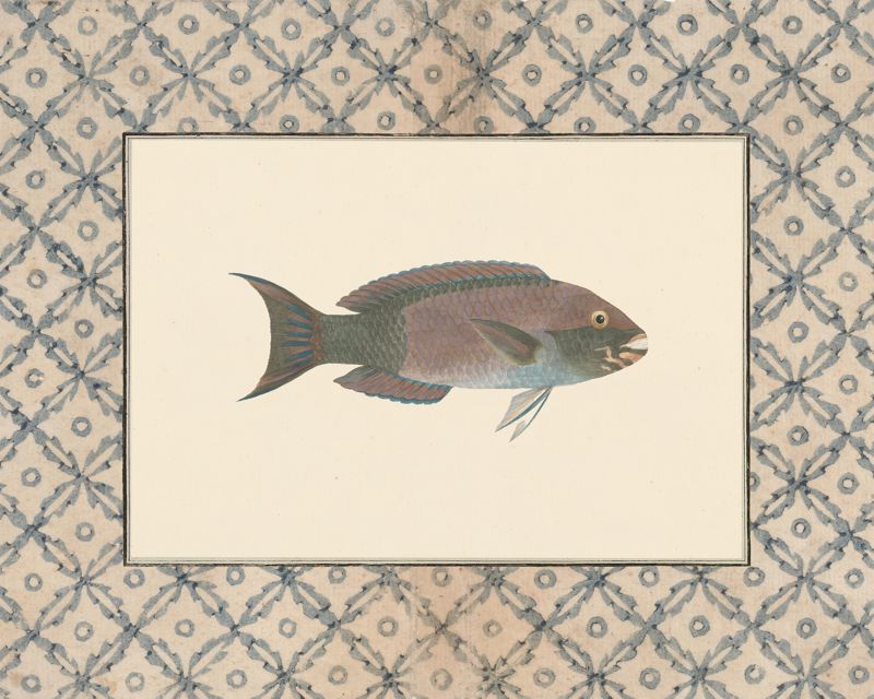 Vintage dusky blue-grey fish art print with a blue lattice border, flat artwork image