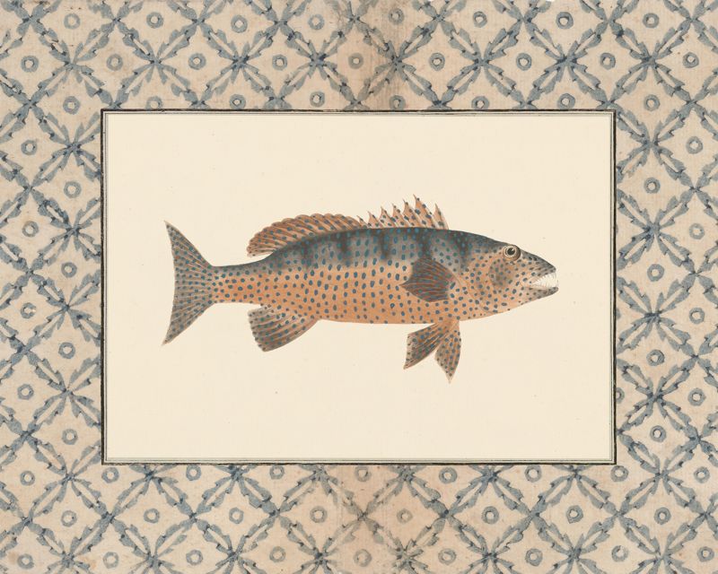 Vintage spotted amber and slate fish art print with a blue lattice border, flat artwork image
