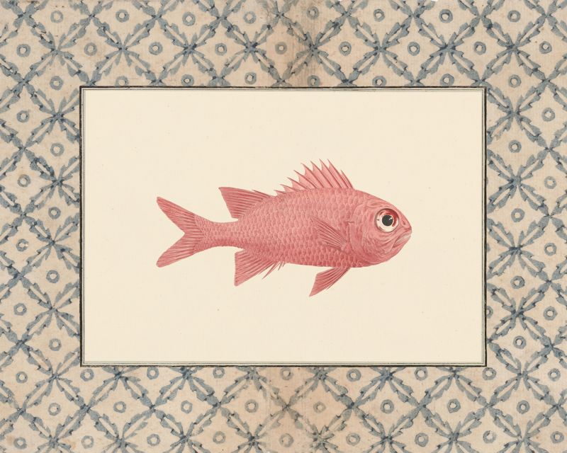 Vintage rosy pink fish art print with a blue lattice border, flat artwork image