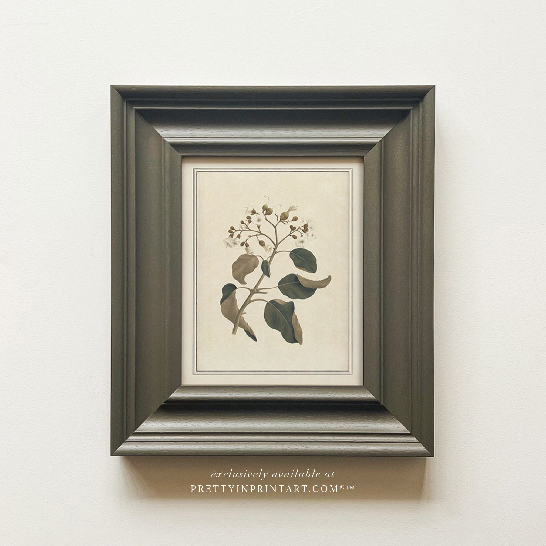 Framed vintage botanical art prints for home decor, Vintage plant wall art with traditional picture frame, Ready-to-hang vintage botanical artwork, Framed floral prints for cottagecore interiors