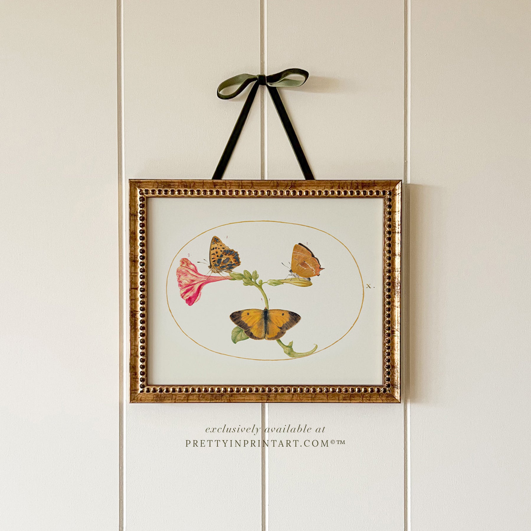 vintage-style nursery art prints featuring bugs, butterflies, beetles, and mini beasts in classic gold and wood frames for children's room decor.