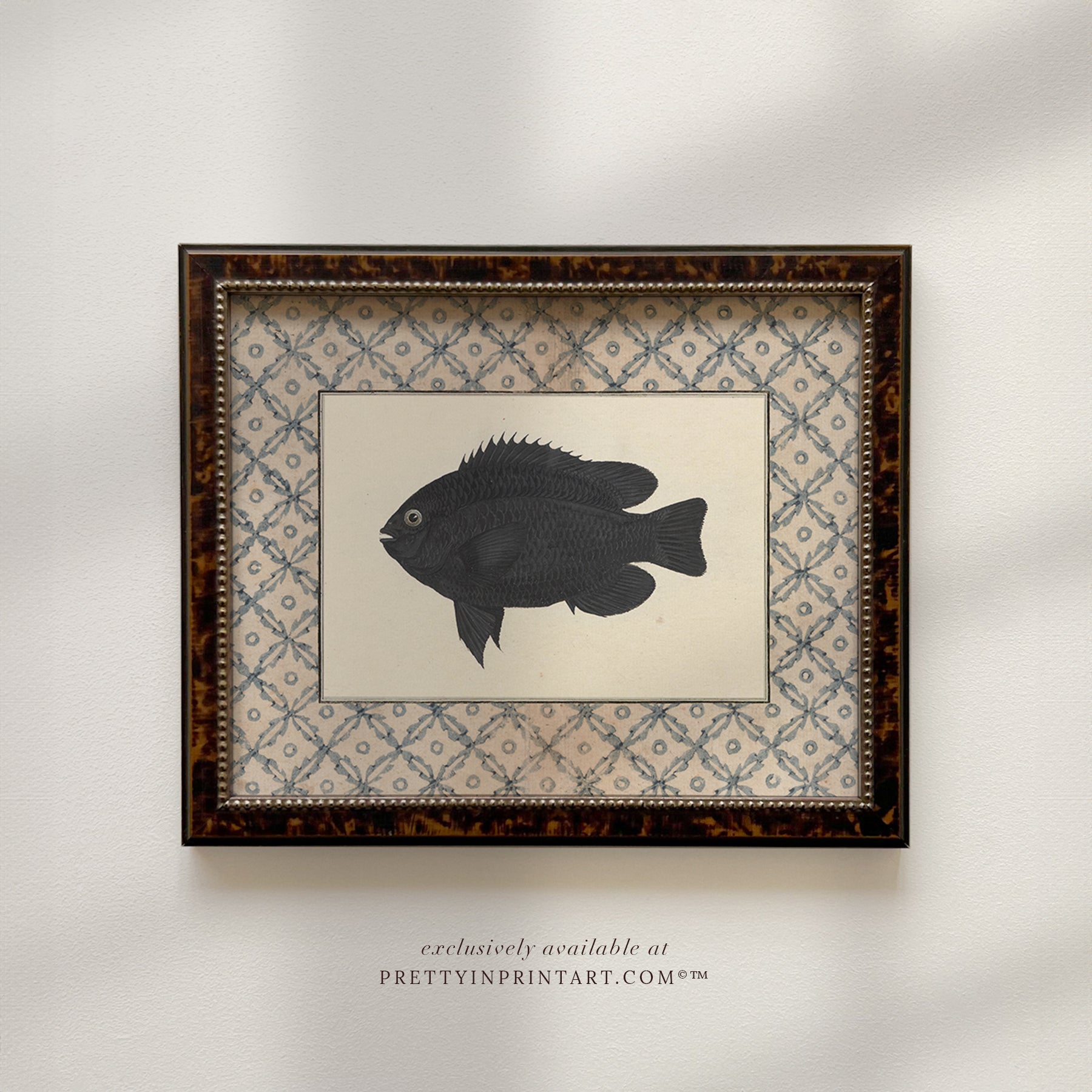 Vintage fish art, Antique fish prints, Vintage fish wall art, Fish illustration print, Vintage fish wall art prints for home decor, Antique fish illustrations for coastal decor, Rustic vintage fish prints for lake house, Framed fish art for nautical theme