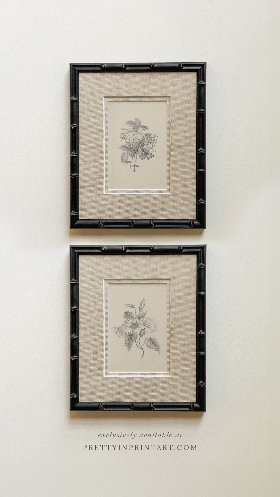 Framed & Mounted Vintage Flower Art 002 | 269