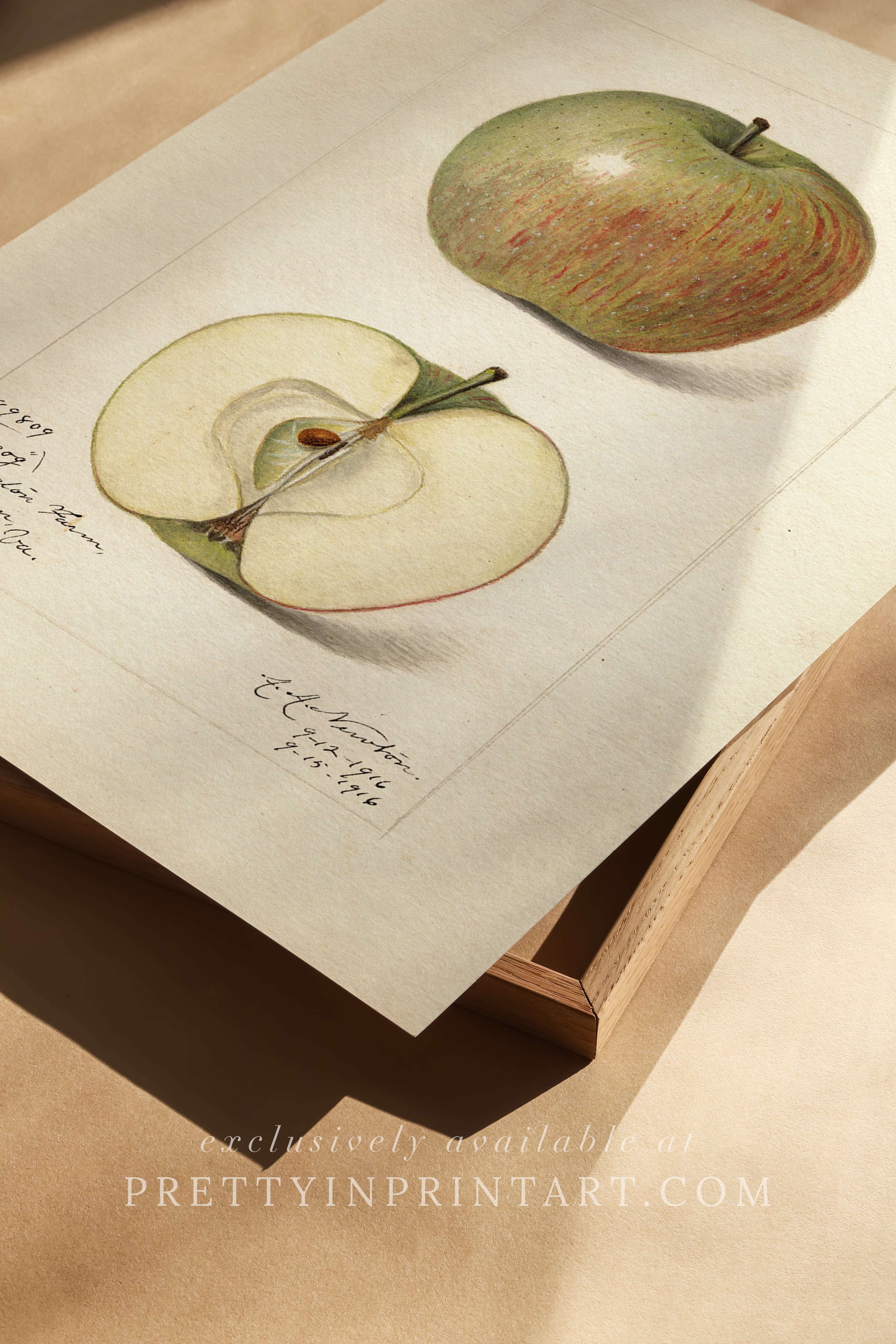 Black bobbin frame with vintage fruit botanical still life art for cottagecore, farmhouse, and traditional interiors