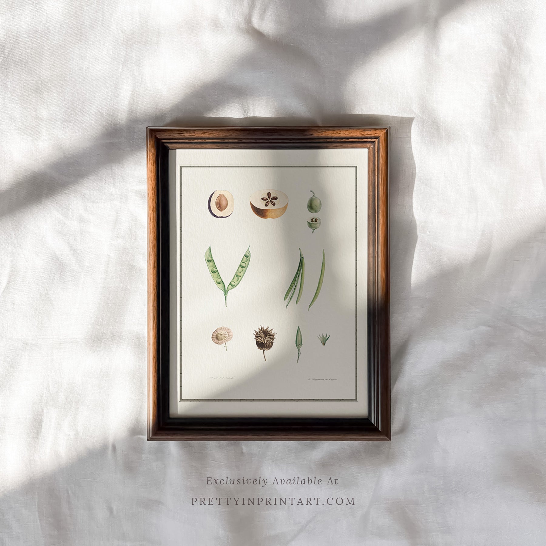 Framed vintage art prints in classic picture frames, Traditional vintage art with ornate frame, Classic wall art with antique-style picture frame, Vintage prints in old-fashioned frames for home decor, Where to buy vintage-style art with classic frames, E