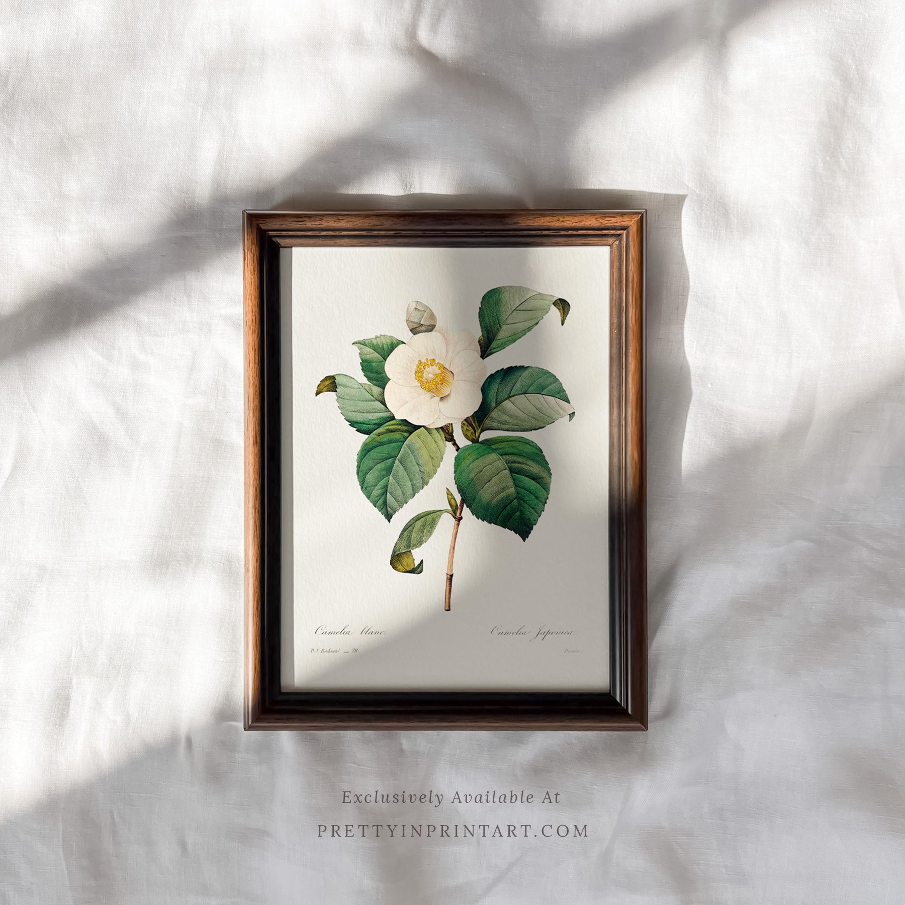 Framed vintage art prints in classic picture frames, Traditional vintage art with ornate frame, Classic wall art with antique-style picture frame, Vintage prints in old-fashioned frames for home decor, Where to buy vintage-style art with classic frames, E