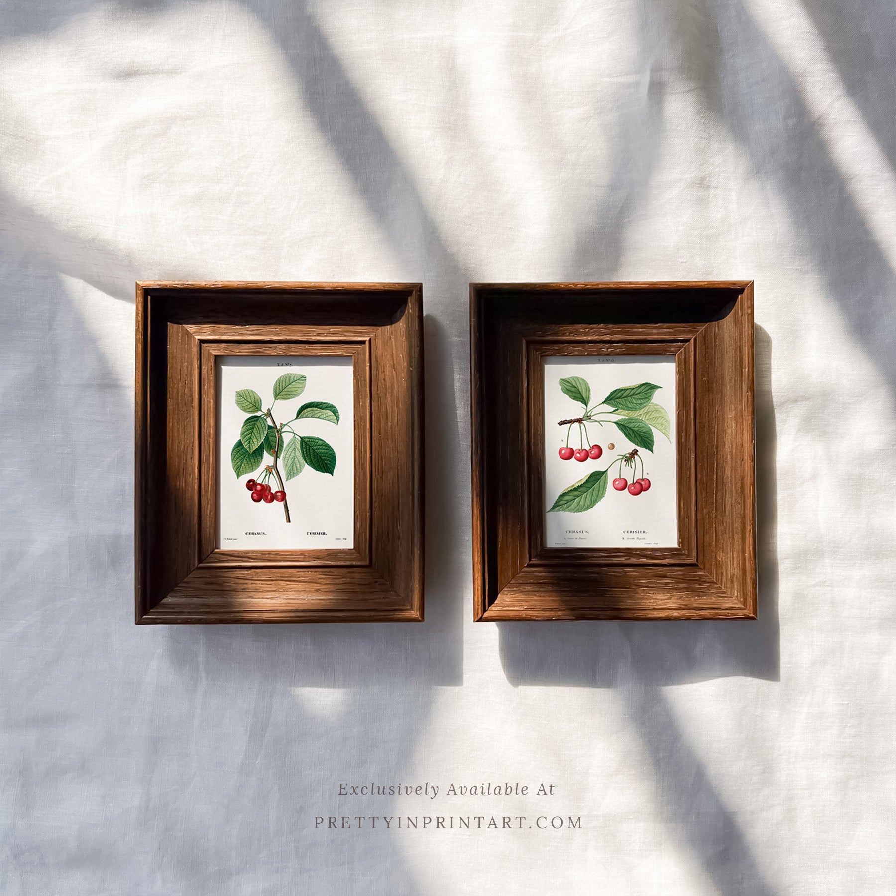 Framed vintage art prints in classic picture frames, Traditional vintage art with ornate frame, Classic wall art with antique-style picture frame, Vintage prints in old-fashioned frames for home decor, Where to buy vintage-style art with classic frames, E