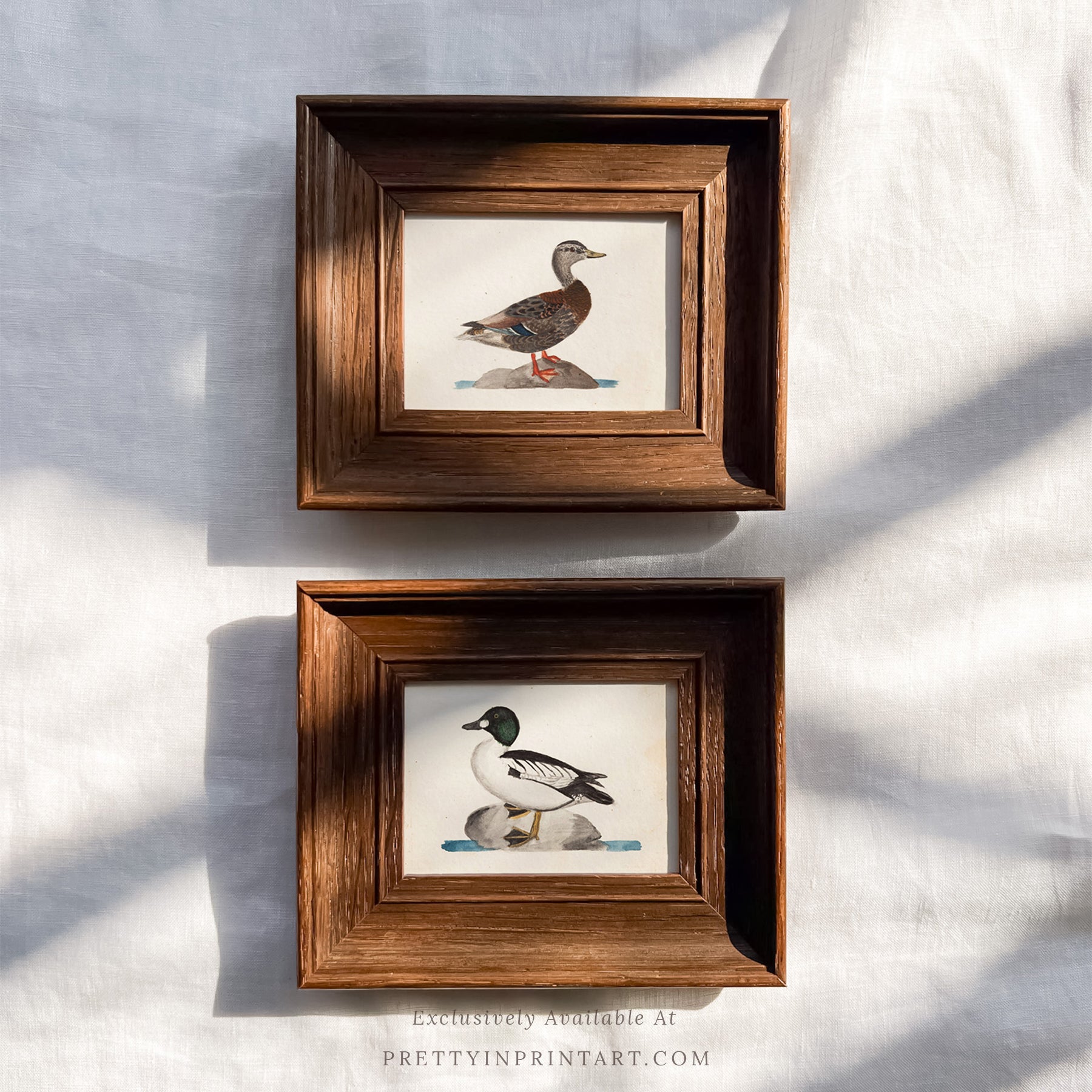 Framed vintage art prints in classic picture frames, Traditional vintage art with ornate frame, Classic wall art with antique-style picture frame, Vintage prints in old-fashioned frames for home decor, Where to buy vintage-style art with classic frames, E