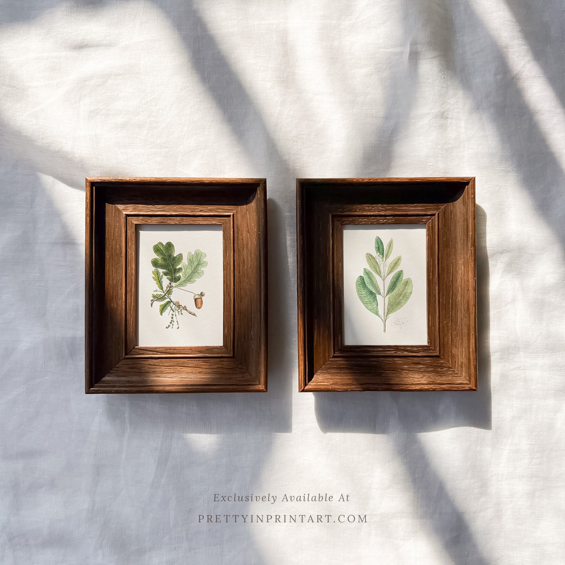 Framed vintage art prints in classic picture frames, Traditional vintage art with ornate frame, Classic wall art with antique-style picture frame, Vintage prints in old-fashioned frames for home decor, Where to buy vintage-style art with classic frames, E
