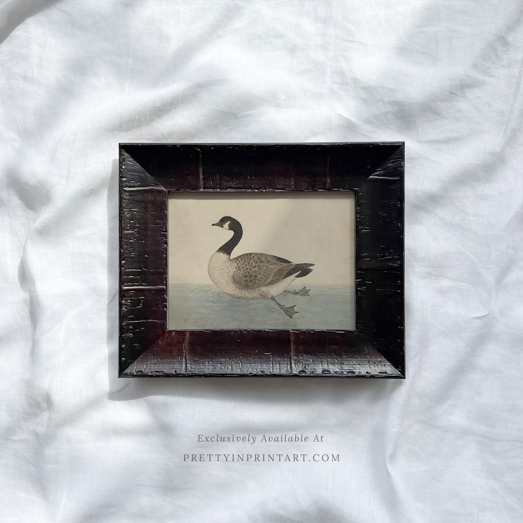 Vintage-style art prints featuring ducks, geese, swans, framed in classic gold or wood frames, perfect for traditional or country-themed vintage nursery, or any room in the home.