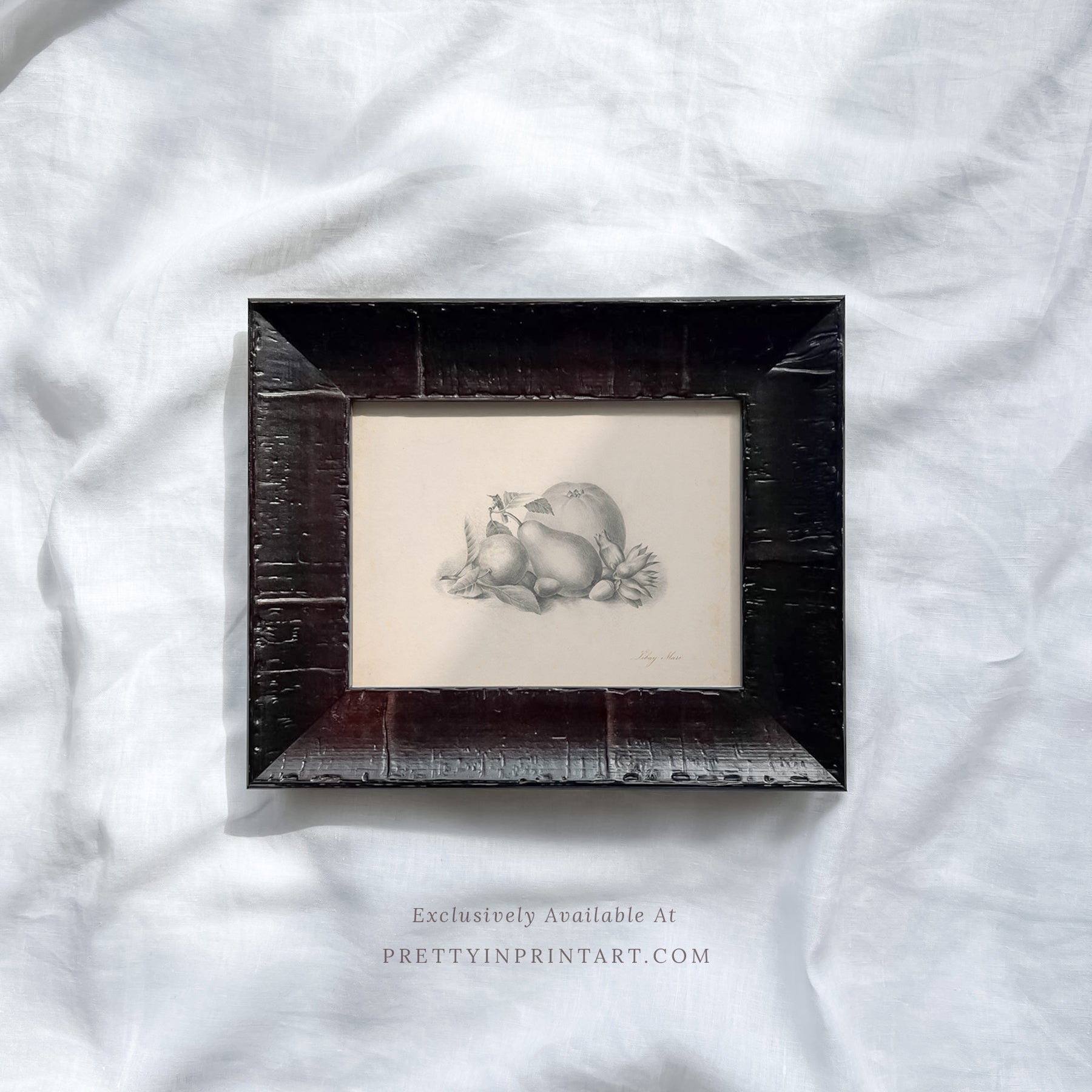 Vintage-style art prints featuring ducks, geese, swans, framed in classic gold or wood frames, perfect for traditional or country-themed vintage nursery, or any room in the home.