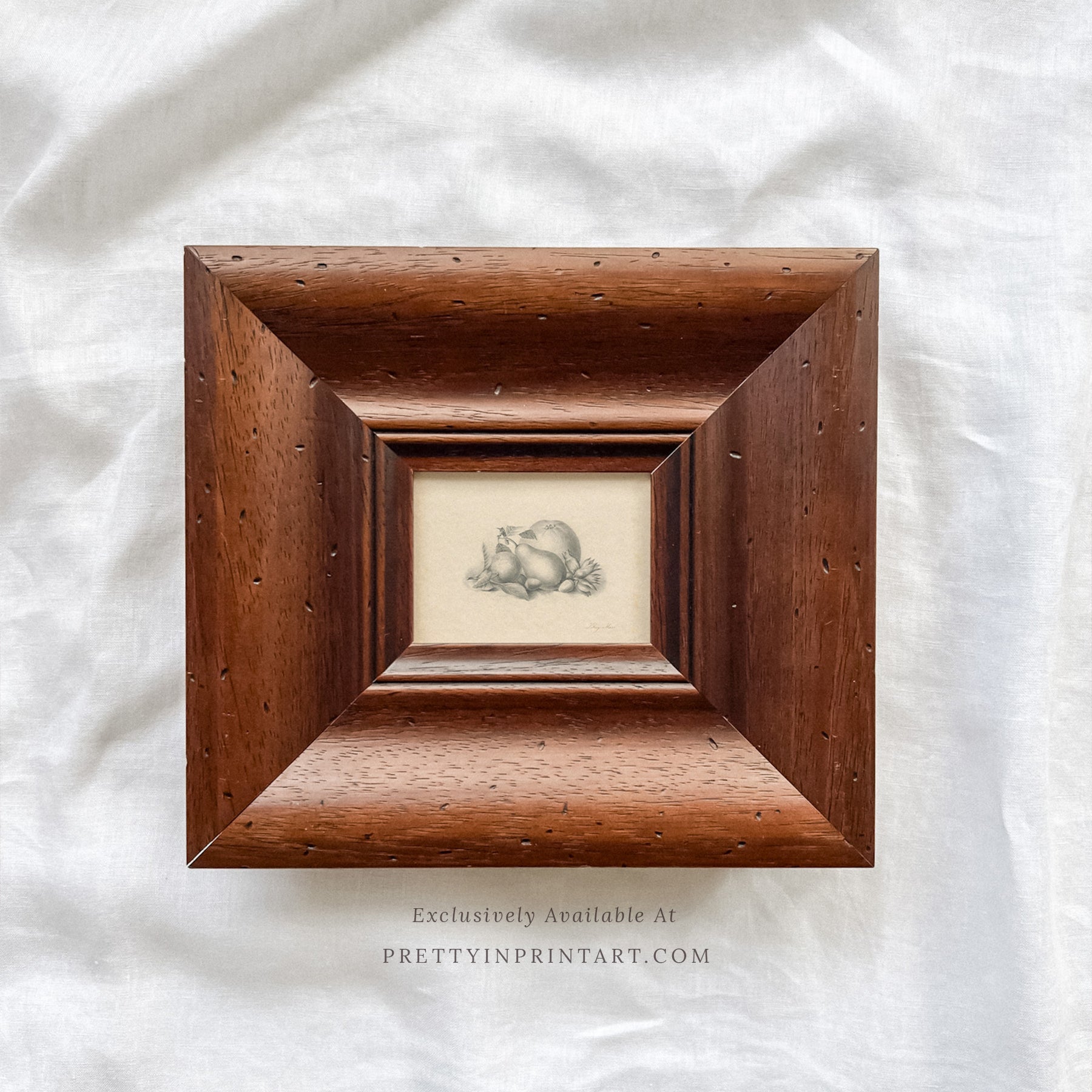 Vintage-style art prints featuring ducks, geese, swans, framed in classic gold or wood frames, perfect for traditional or country-themed vintage nursery, or any room in the home.