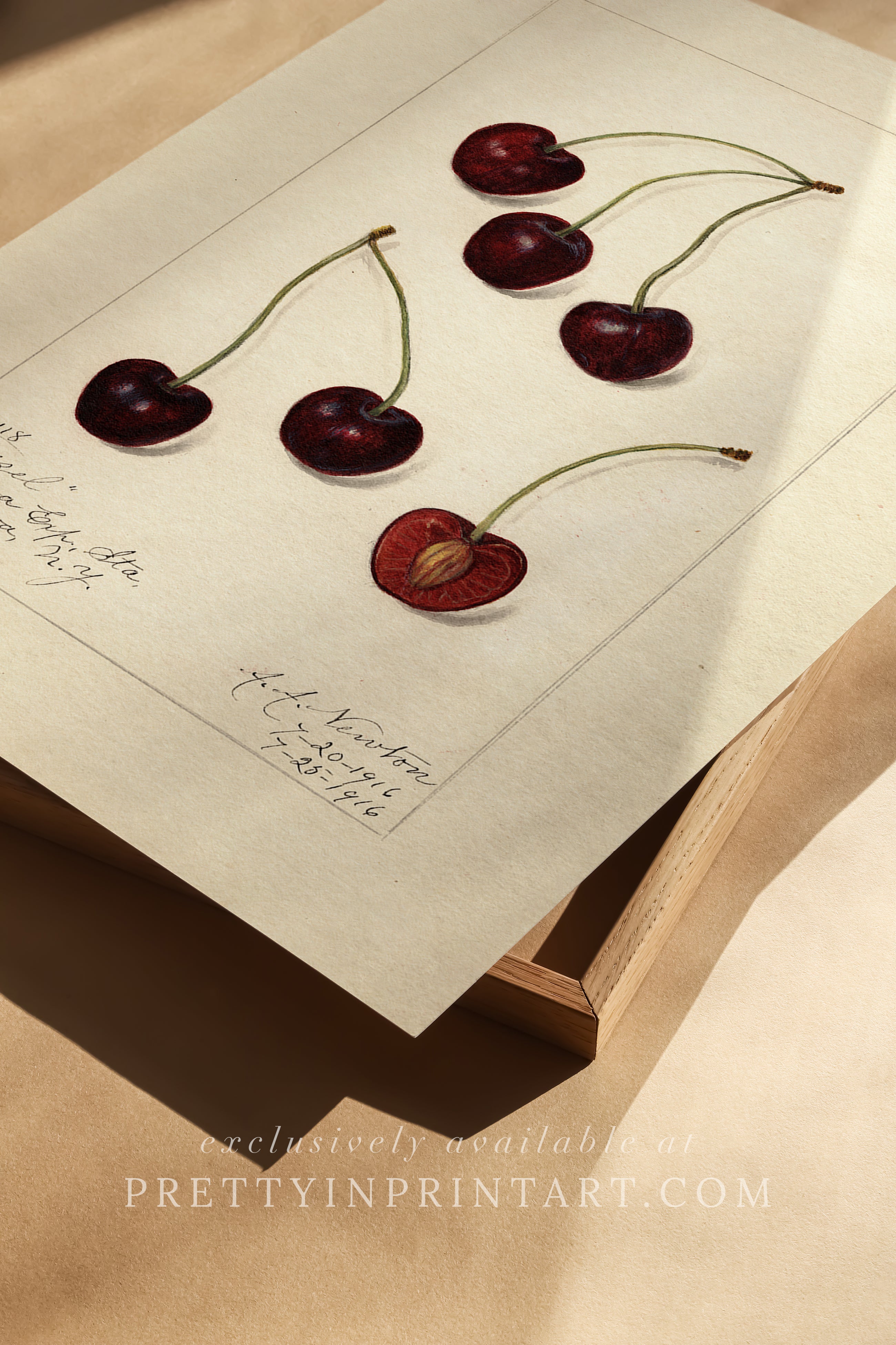 Black bobbin frame with vintage fruit botanical still life art for cottagecore, farmhouse, and traditional interiors