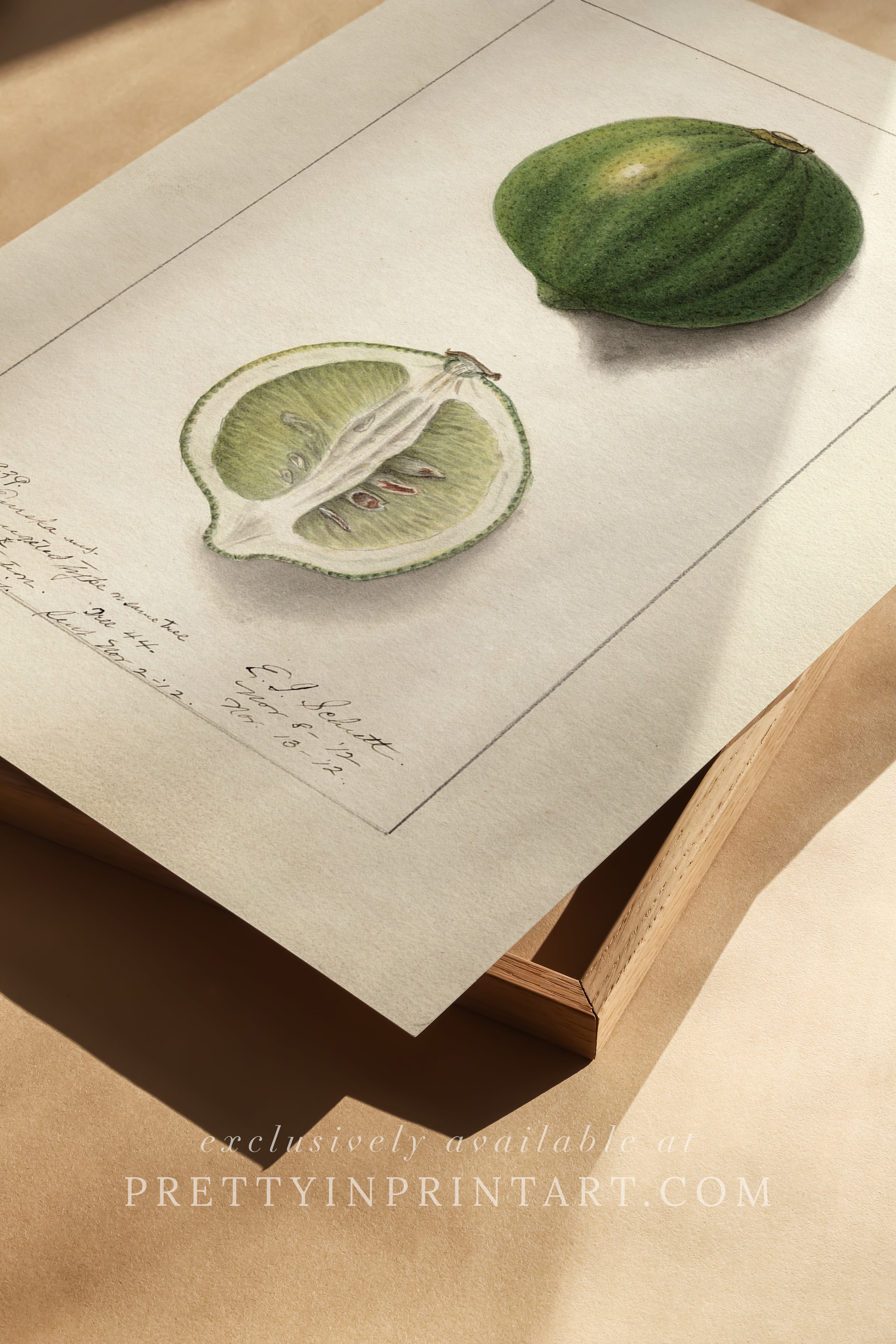 Black bobbin frame with vintage fruit botanical still life art for cottagecore, farmhouse, and traditional interiors