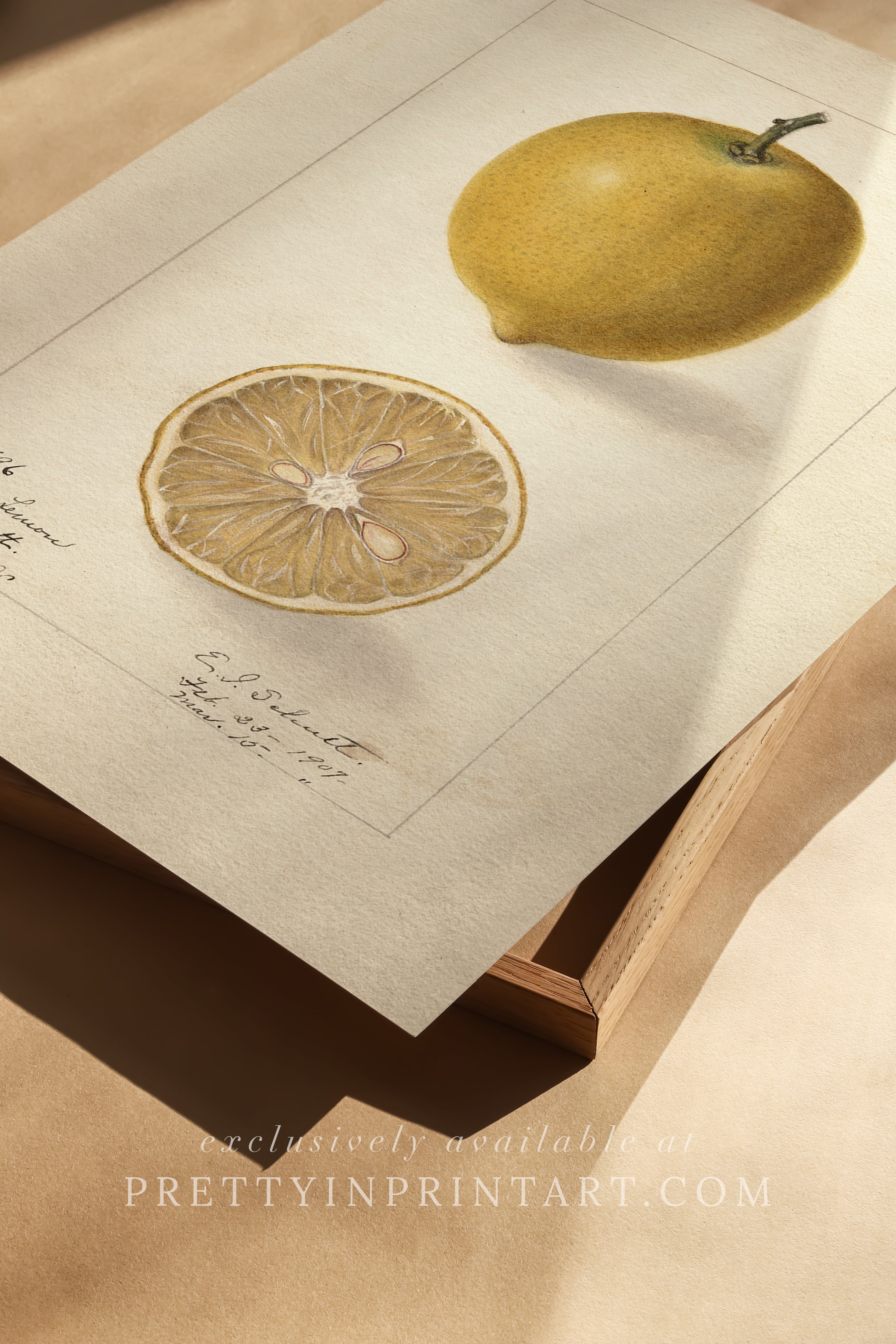 Black bobbin frame with vintage fruit botanical still life art for cottagecore, farmhouse, and traditional interiors