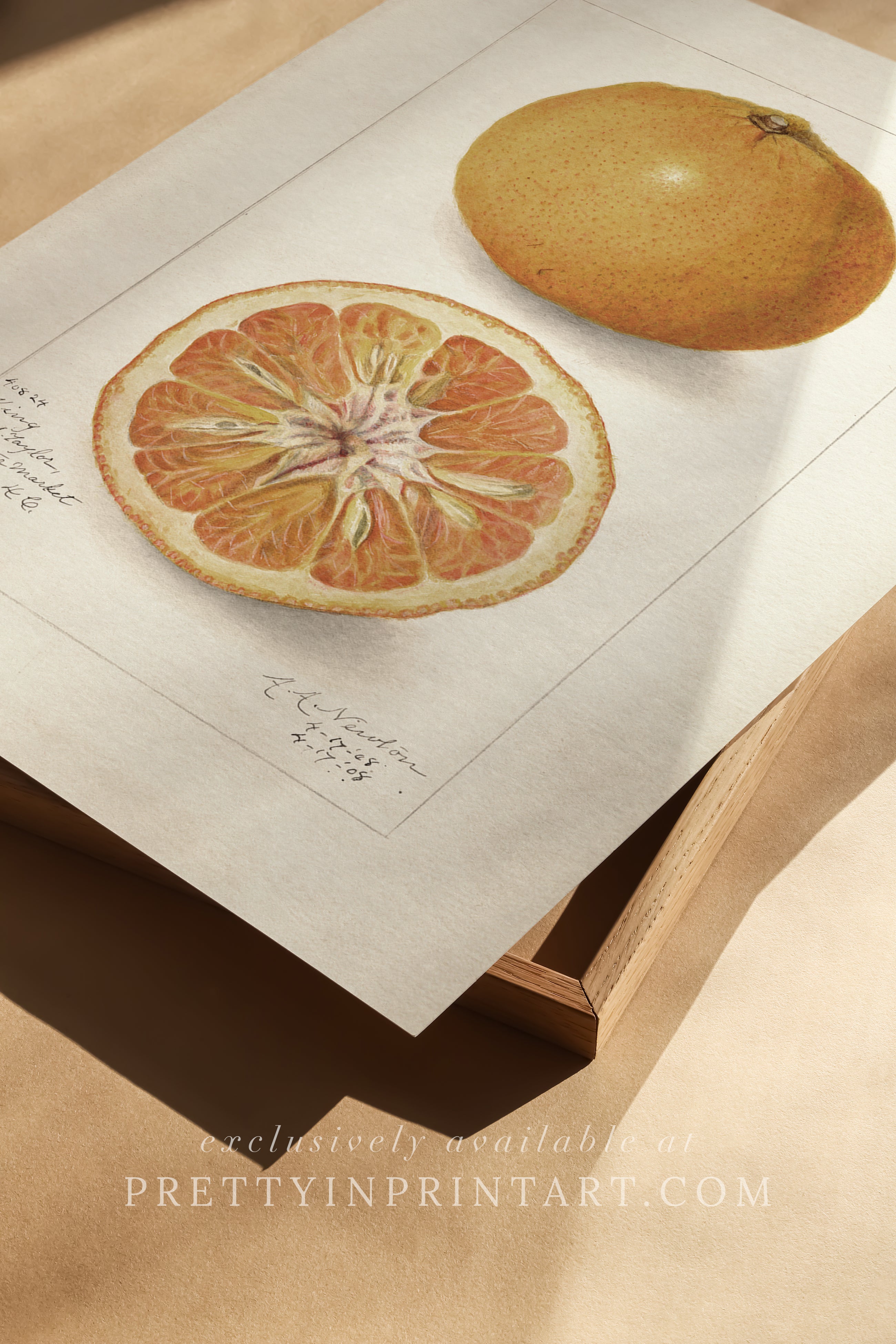 Black bobbin frame with vintage fruit botanical still life art for cottagecore, farmhouse, and traditional interiors