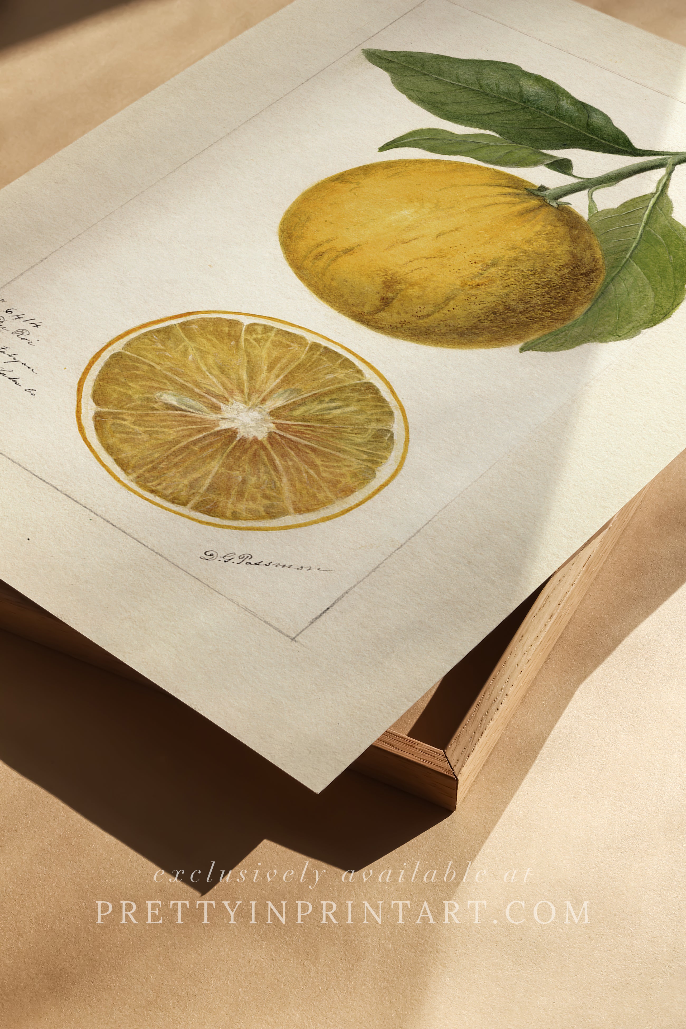 Black bobbin frame with vintage fruit botanical still life art for cottagecore, farmhouse, and traditional interiors