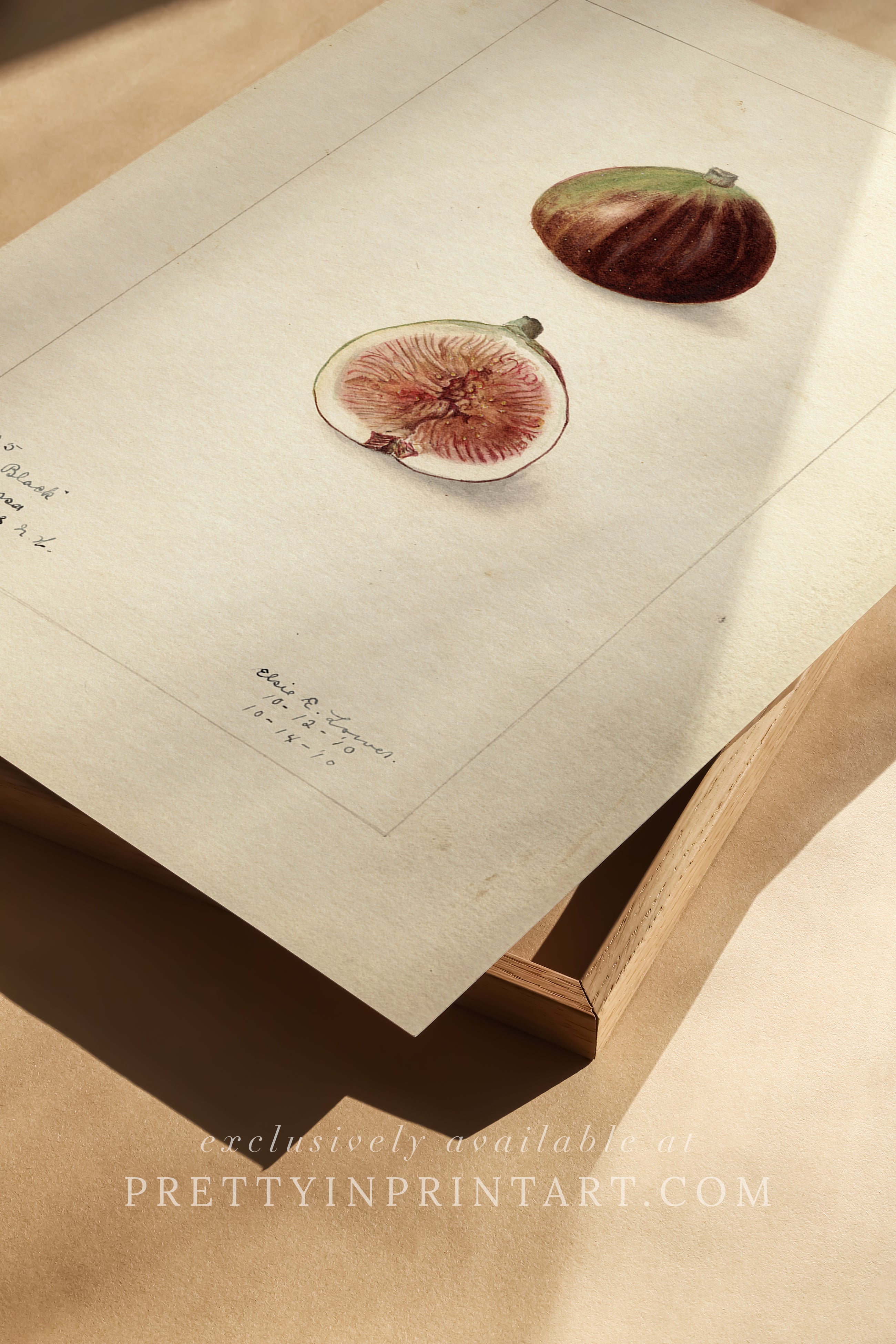 Black bobbin frame with vintage fruit botanical still life art for cottagecore, farmhouse, and traditional interiors