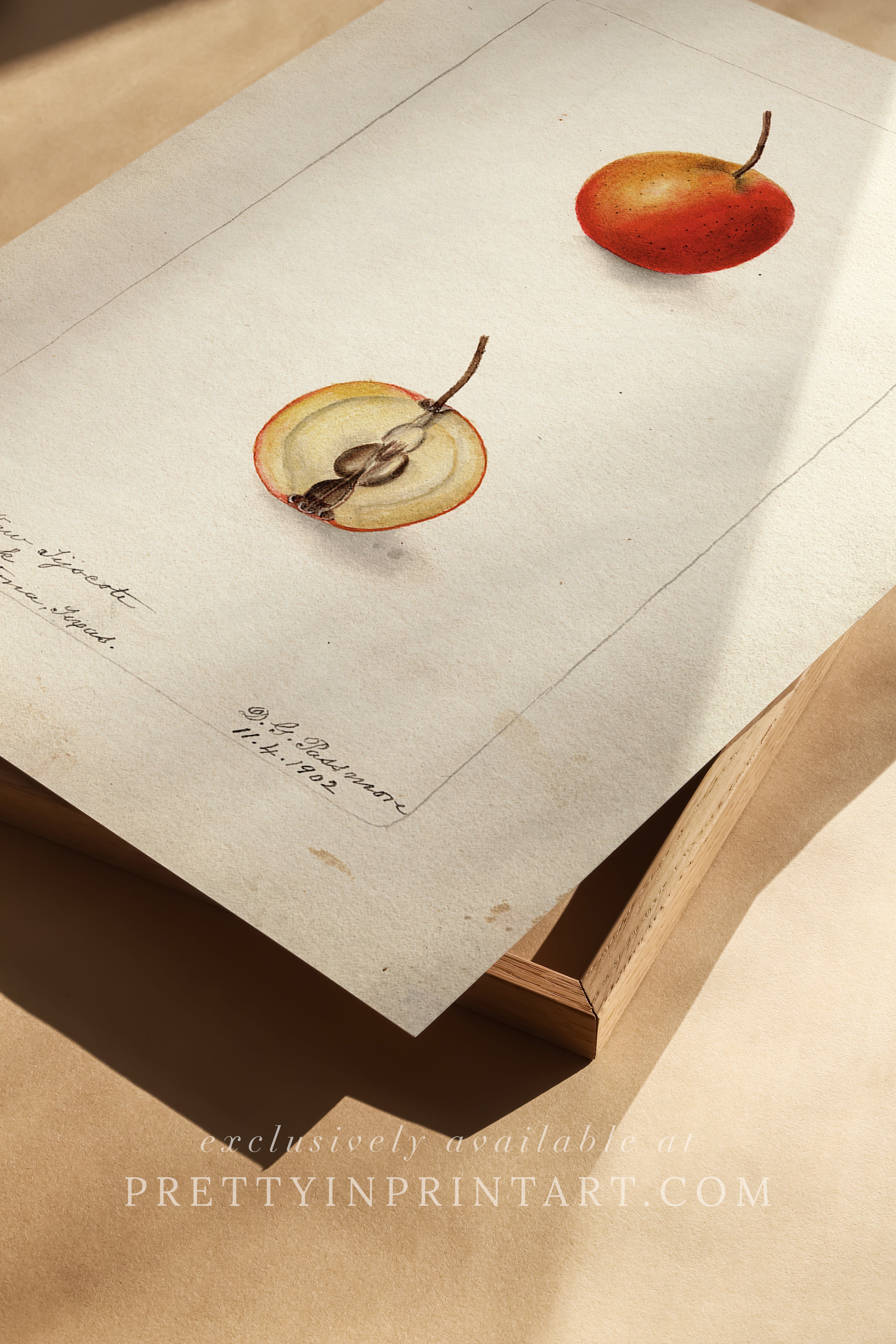 Black bobbin frame with vintage fruit botanical still life art for cottagecore, farmhouse, and traditional interiors