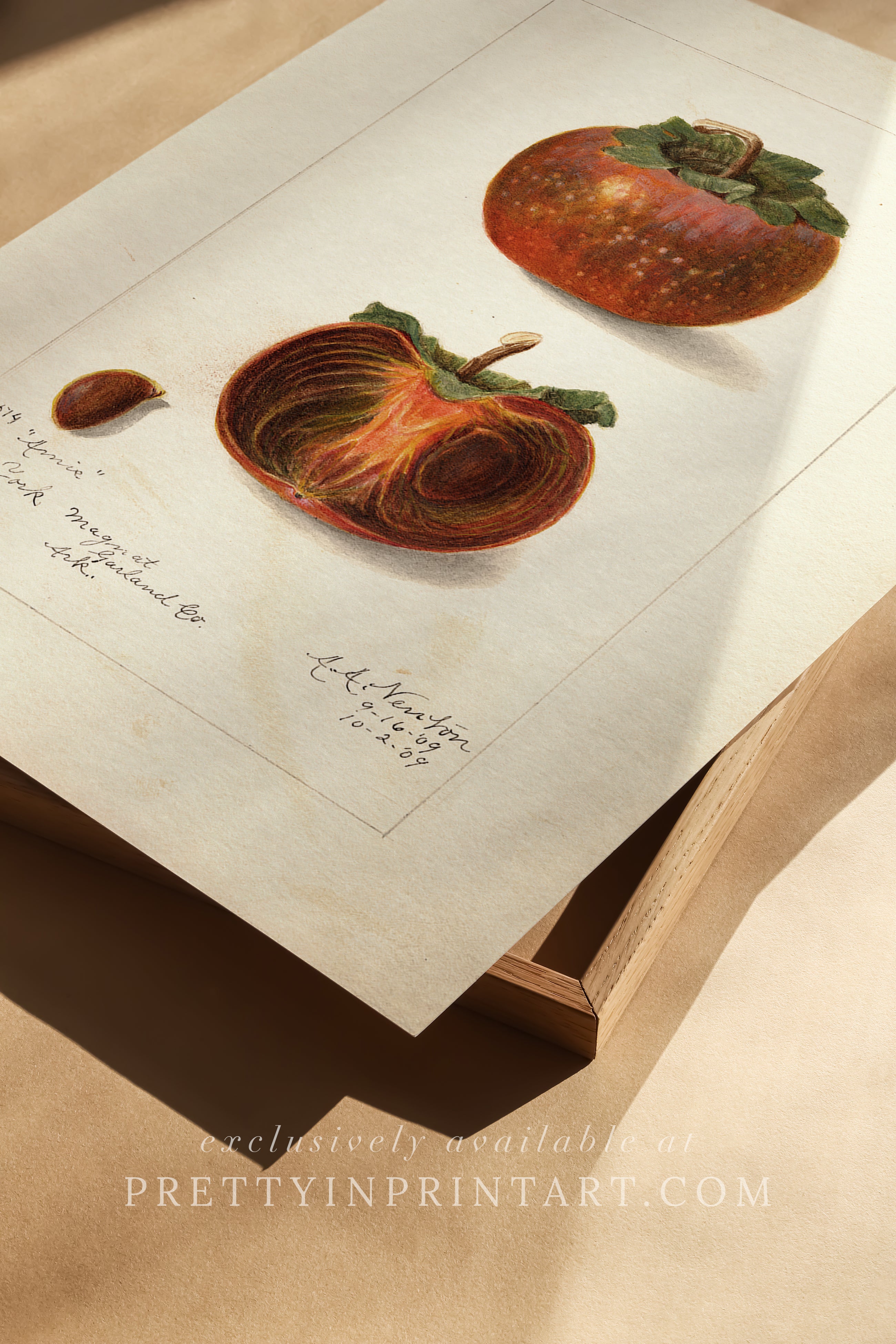 Black bobbin frame with vintage fruit botanical still life art for cottagecore, farmhouse, and traditional interiors