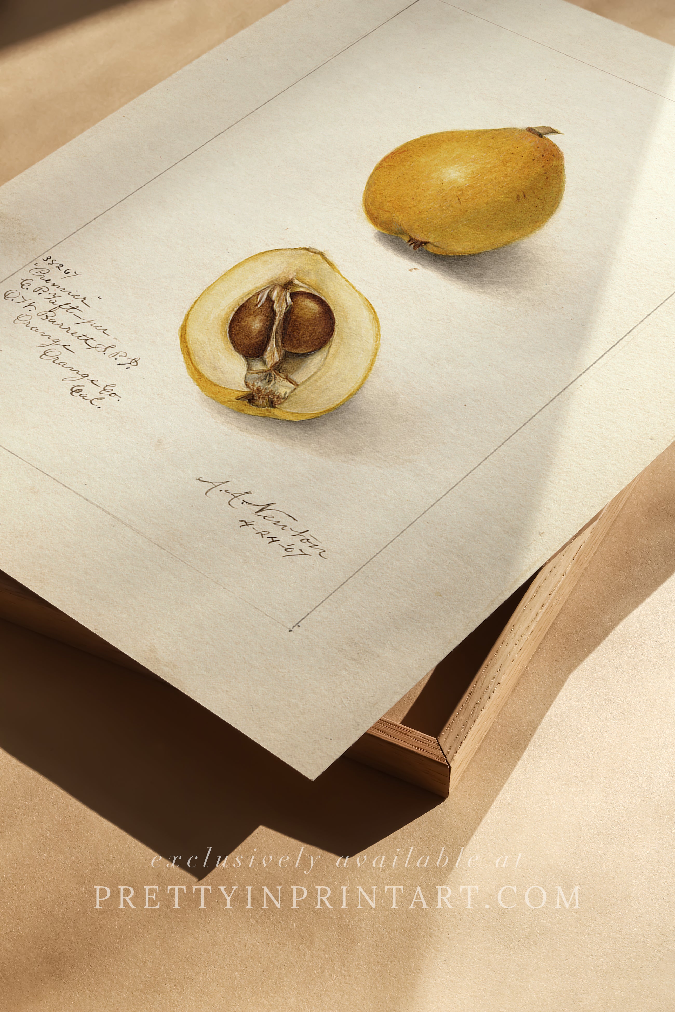 Black bobbin frame with vintage fruit botanical still life art for cottagecore, farmhouse, and traditional interiors