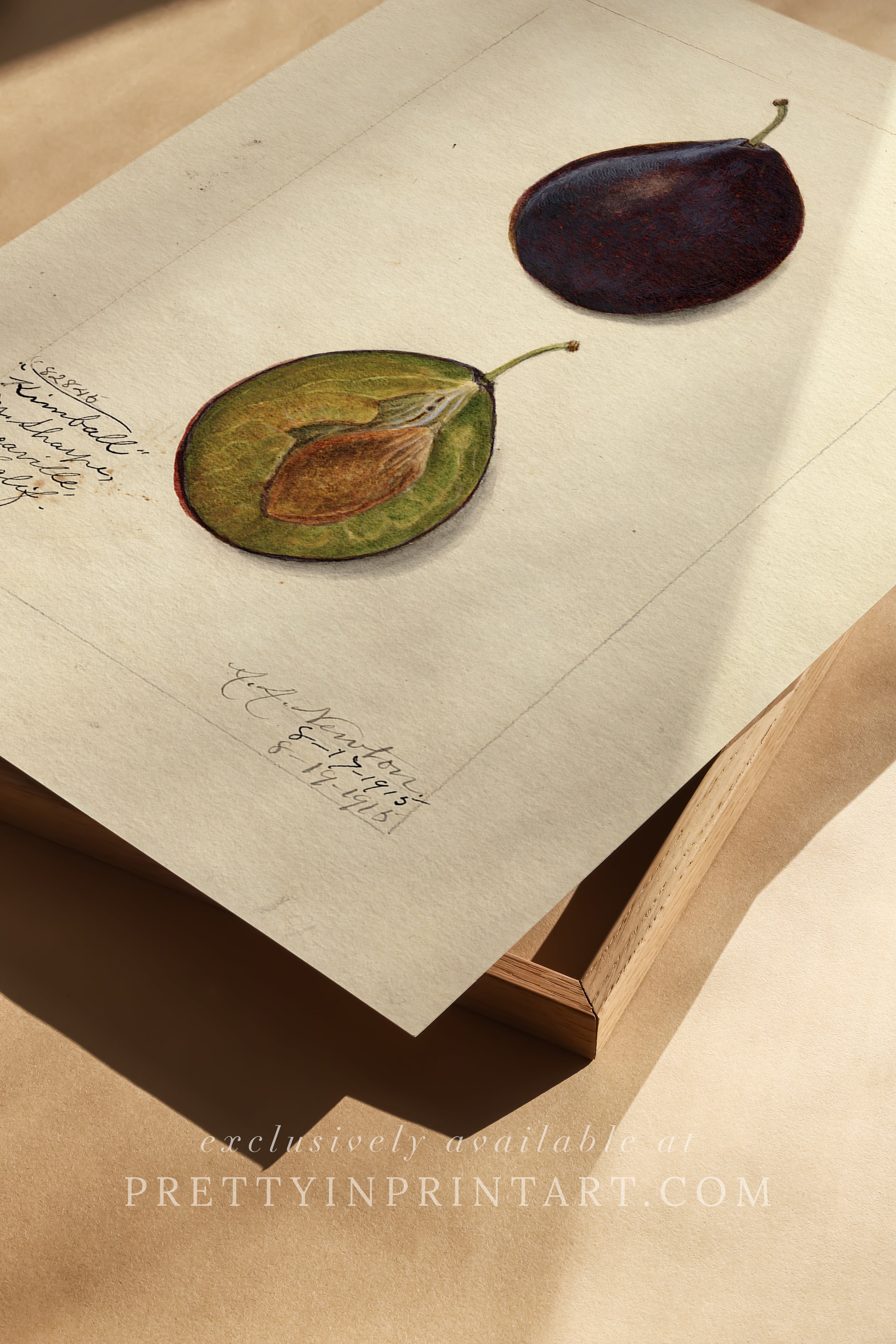 Black bobbin frame with vintage fruit botanical still life art for cottagecore, farmhouse, and traditional interiors