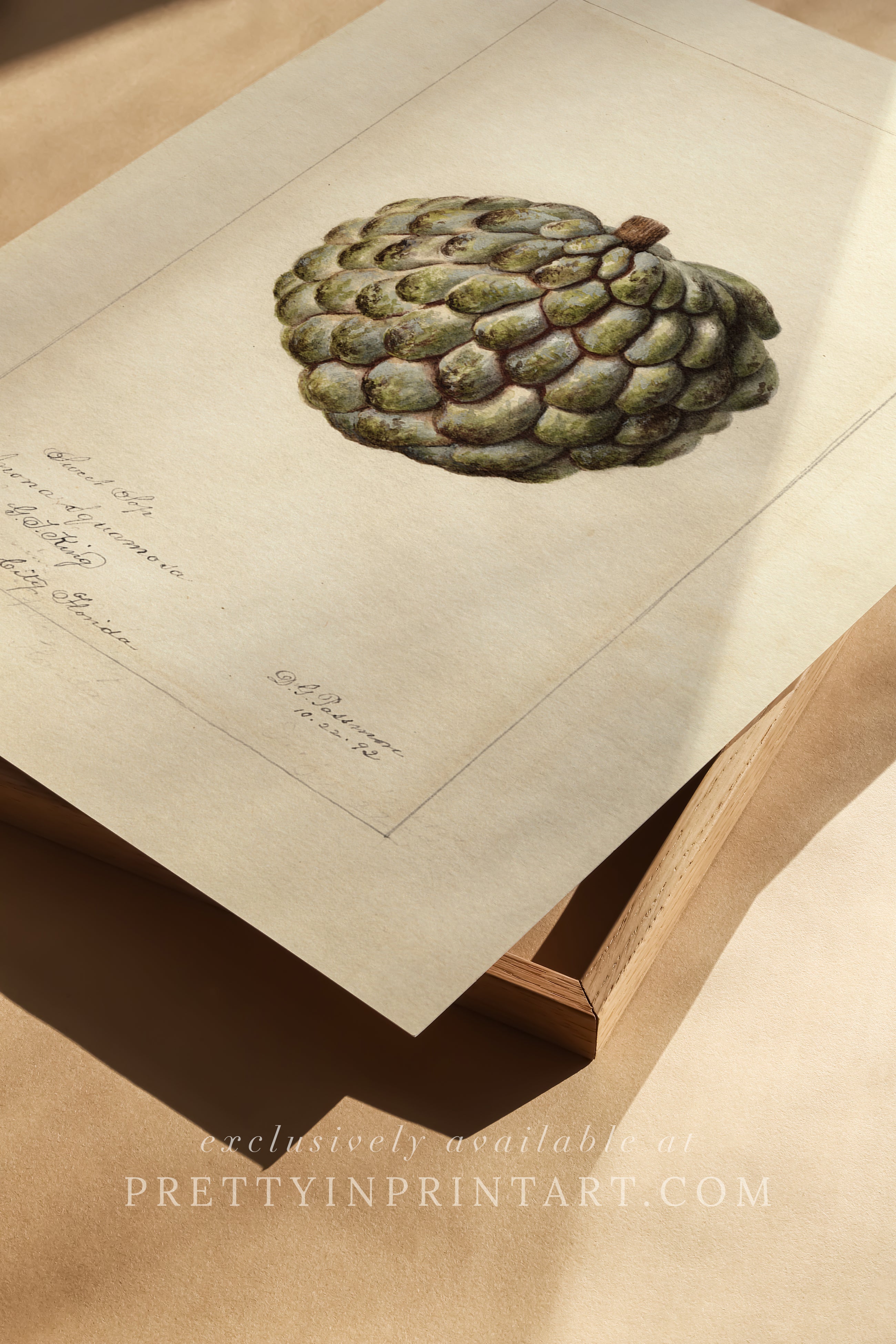 Black bobbin frame with vintage fruit botanical still life art for cottagecore, farmhouse, and traditional interiors