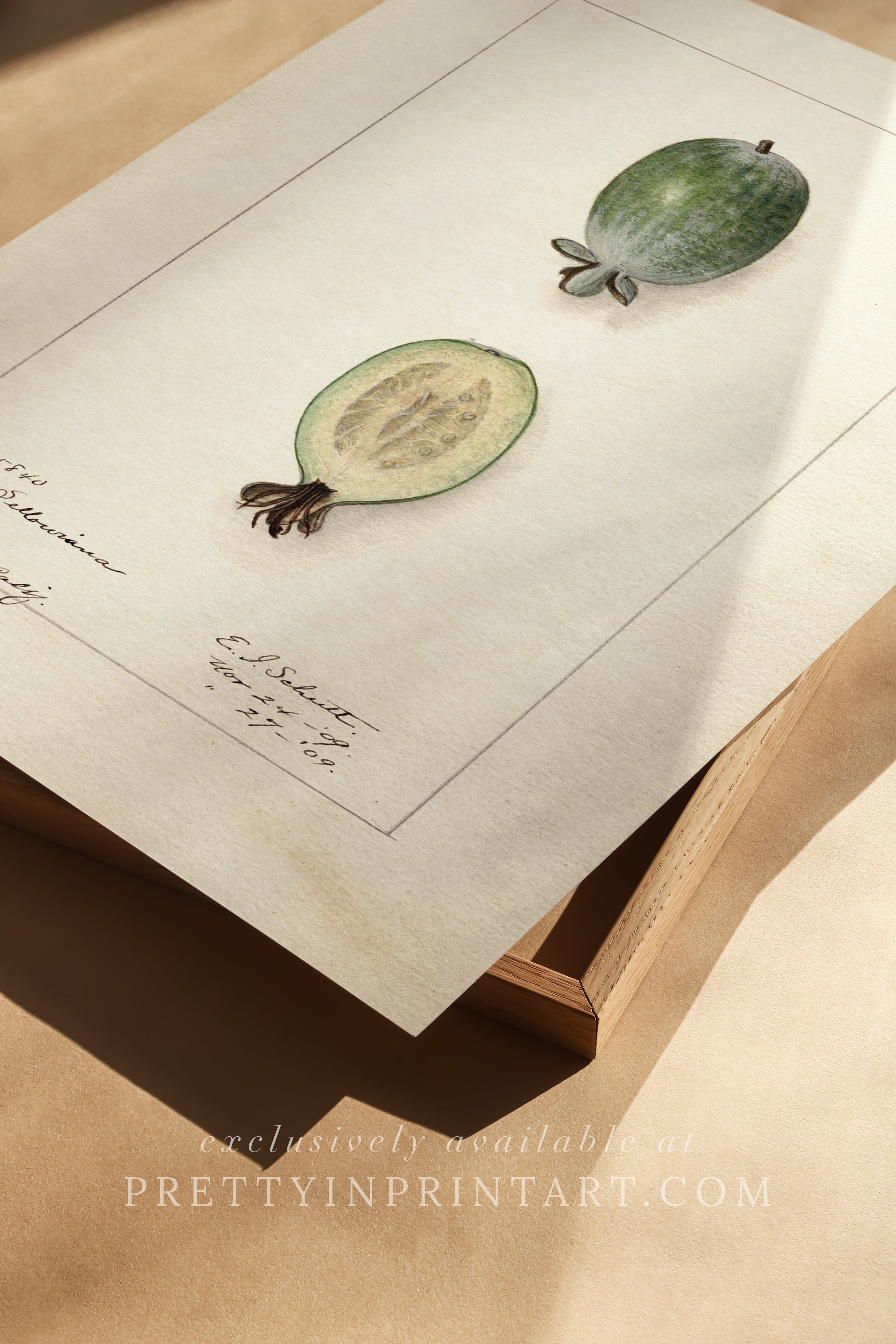 Black bobbin frame with vintage fruit botanical still life art for cottagecore, farmhouse, and traditional interiors