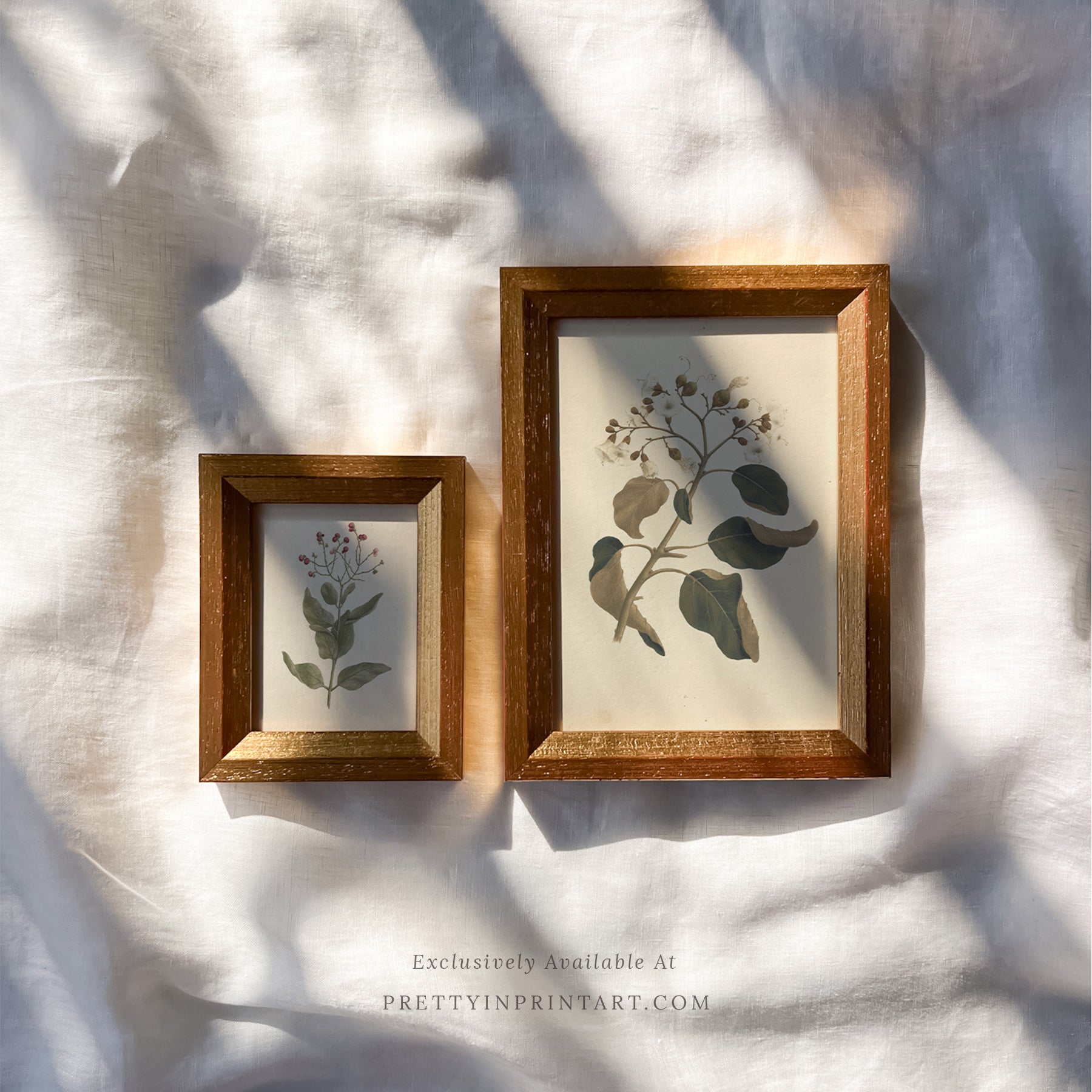 Framed vintage art prints in classic picture frames, Traditional vintage art with ornate frame, Classic wall art with antique-style picture frame, Vintage prints in old-fashioned frames for home decor, Where to buy vintage-style art with classic frames, E