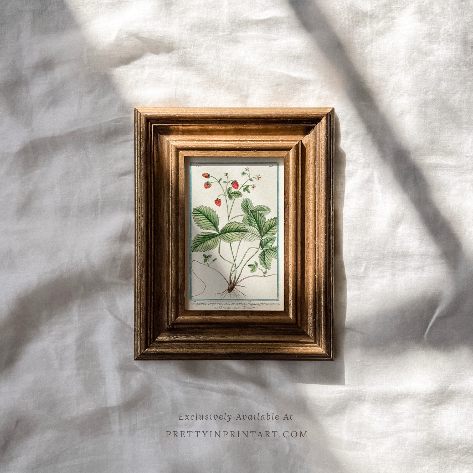 Framed vintage art prints in classic picture frames, Traditional vintage art with ornate frame, Classic wall art with antique-style picture frame, Vintage prints in old-fashioned frames for home decor, Where to buy vintage-style art with classic frames, E