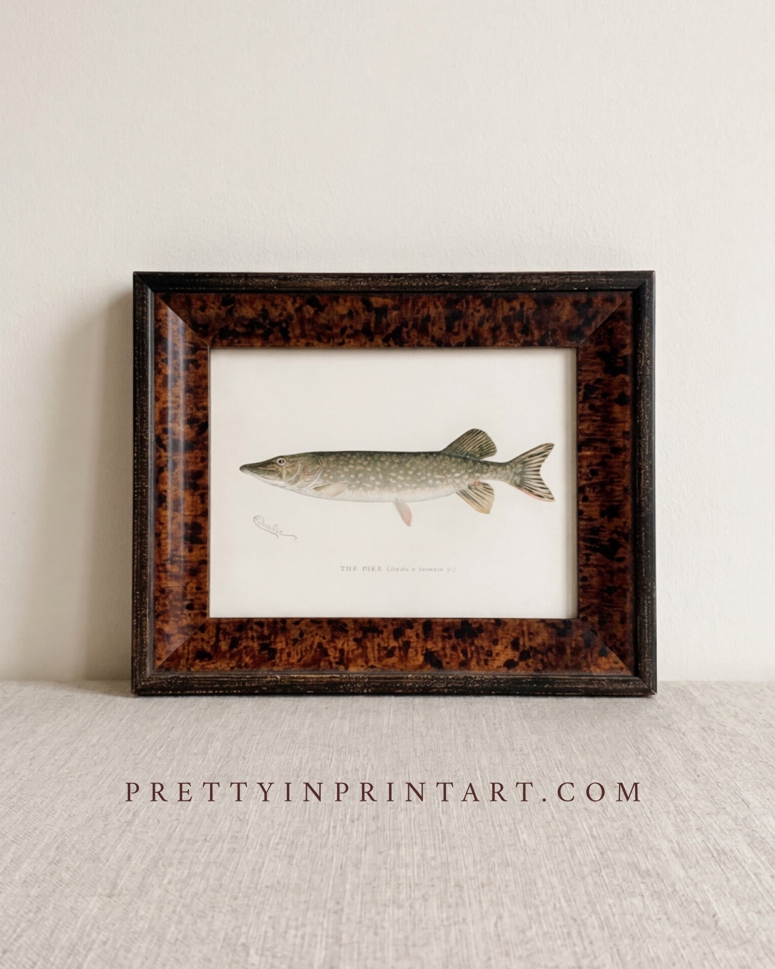 The Pike, Antique Fish Art | Unframed Print