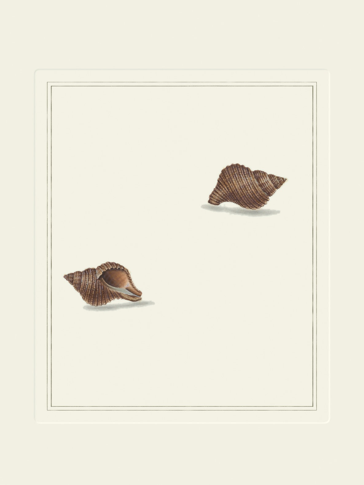 Vintage brown triton shells art print