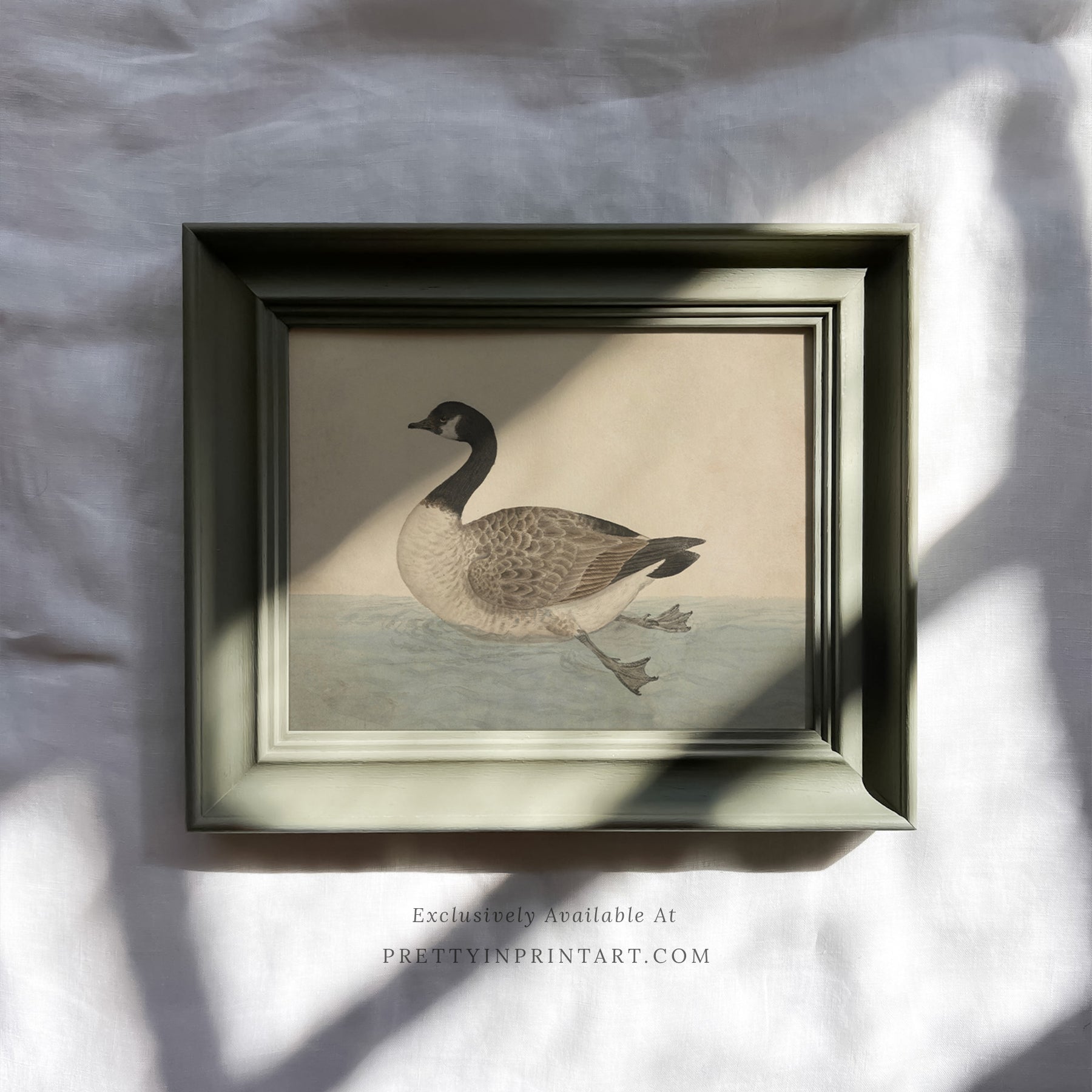 Vintage-style art prints featuring ducks, geese, swans, framed in classic gold or wood frames, perfect for traditional or country-themed vintage nursery, or any room in the home.