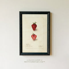 Framed Vintage Fruit Art | Strawberry 001