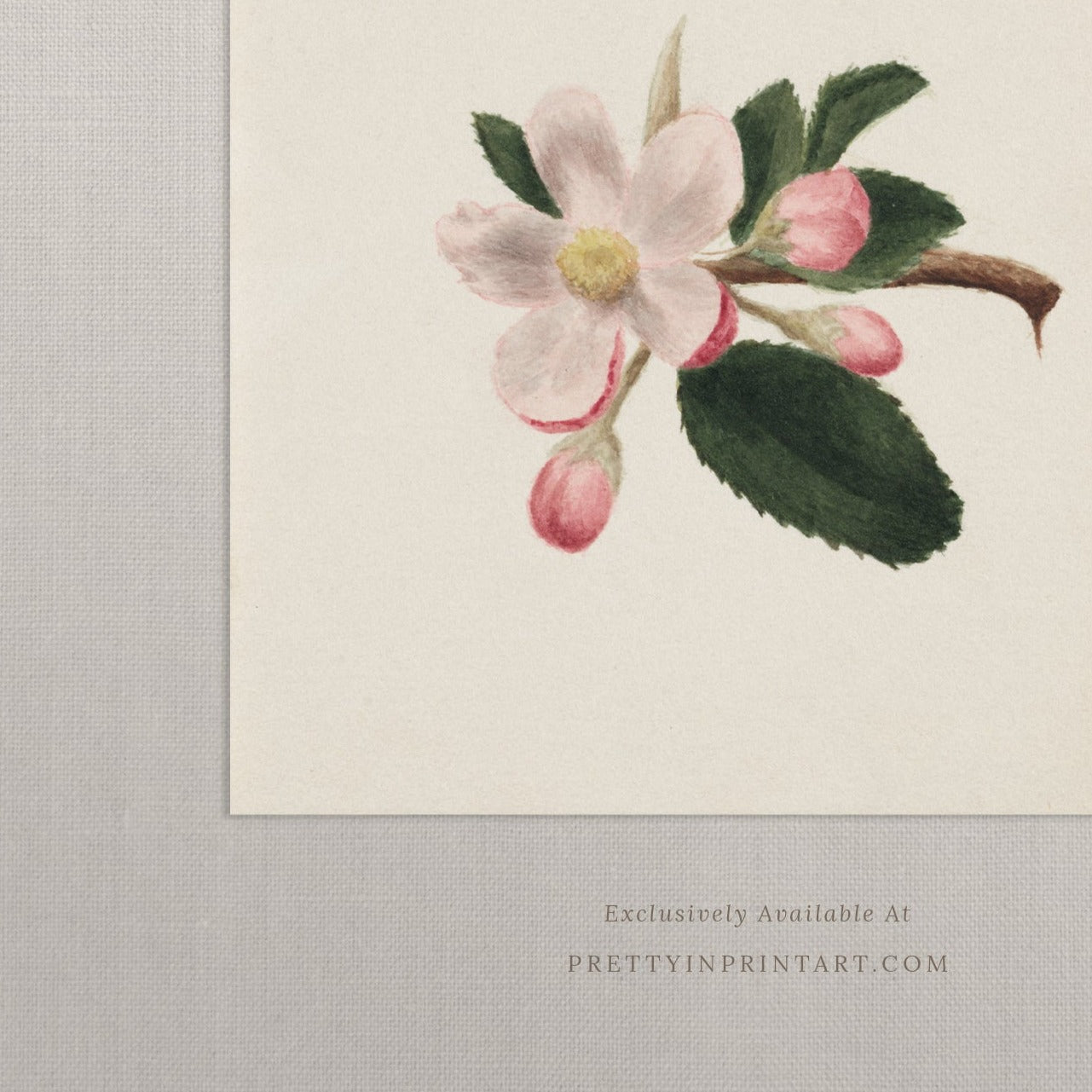 Vintage Flower Art 00518 | Unframed