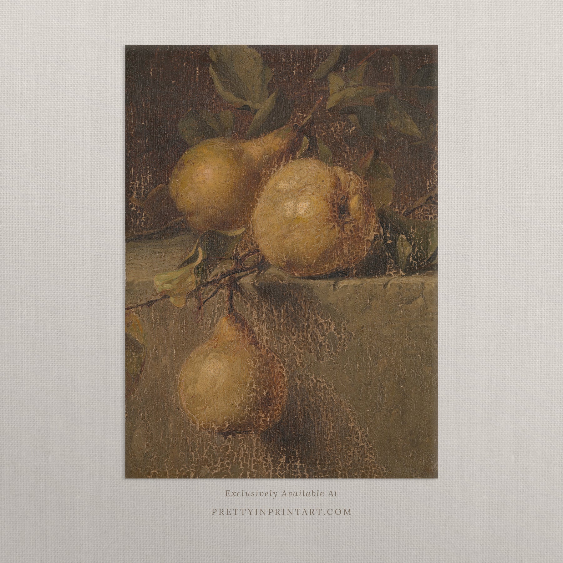 Vintage Still Life Pear Art 00544 | Unframed