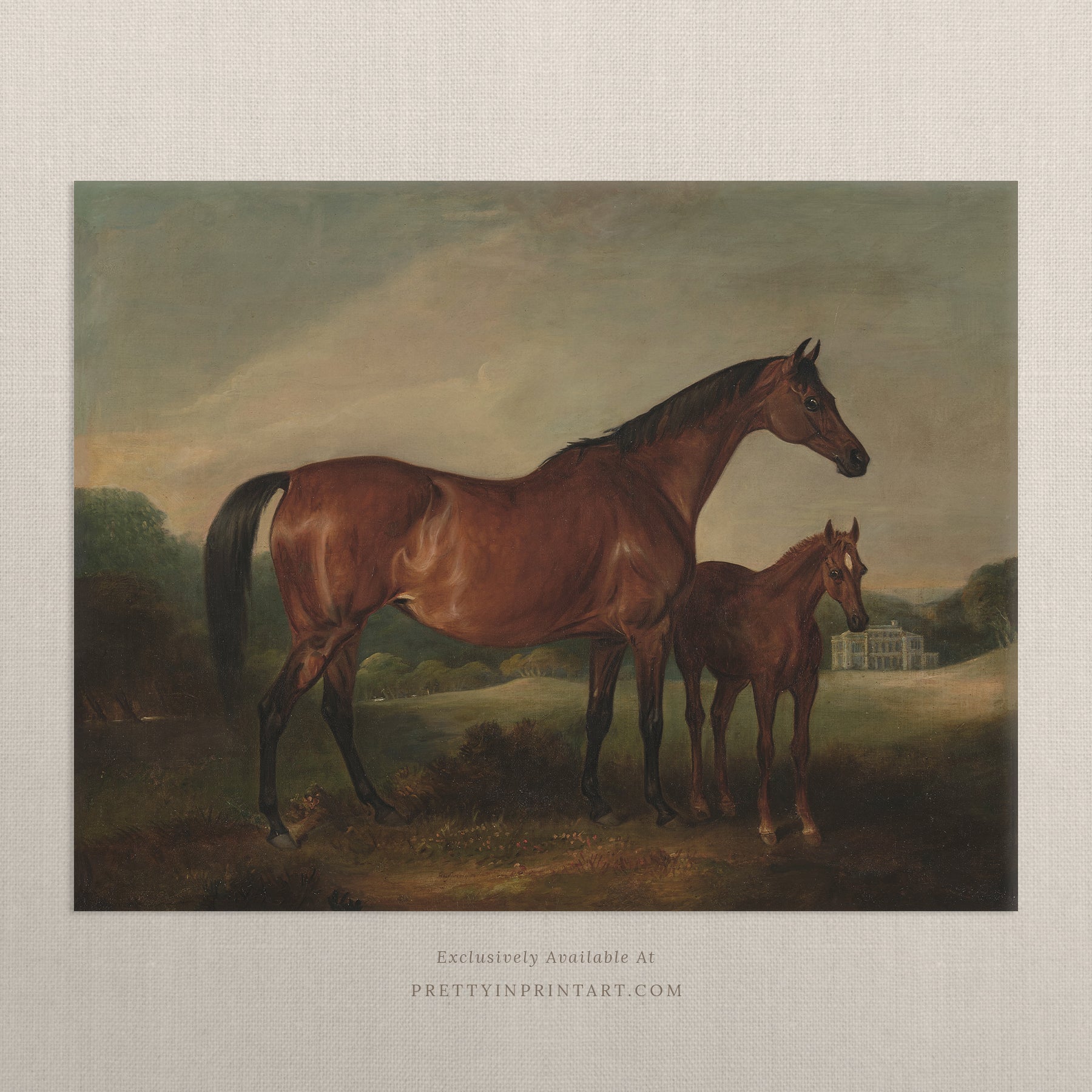 Framed vintage equestrian art print featuring antique horse illustration, perfect for traditional interiors and country home decor