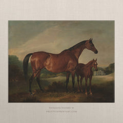 Vintage Equestrian Art Print 707044 | Unframed