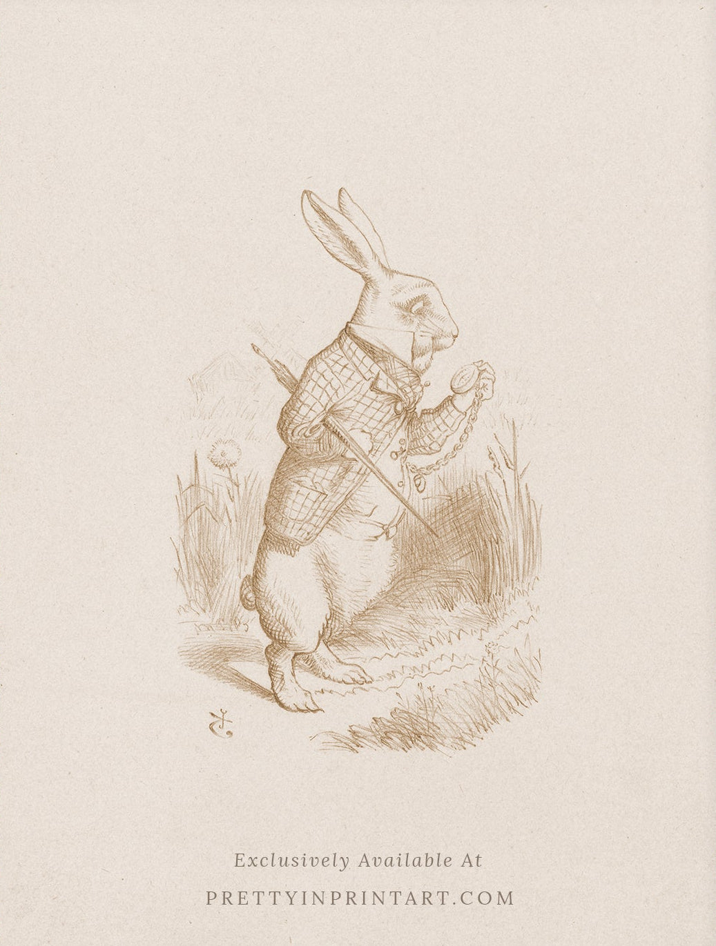 Alice's Adventures in Wonderland | Unframed