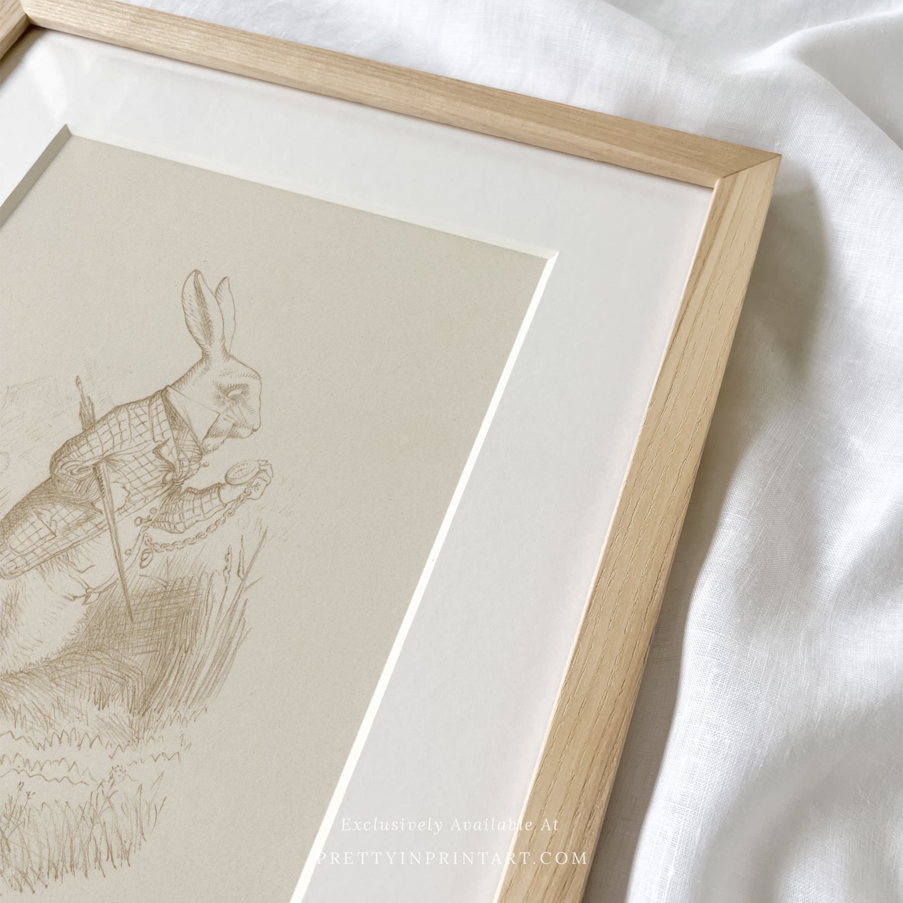 Alice's Adventures in Wonderland | Framed & Mounted Print